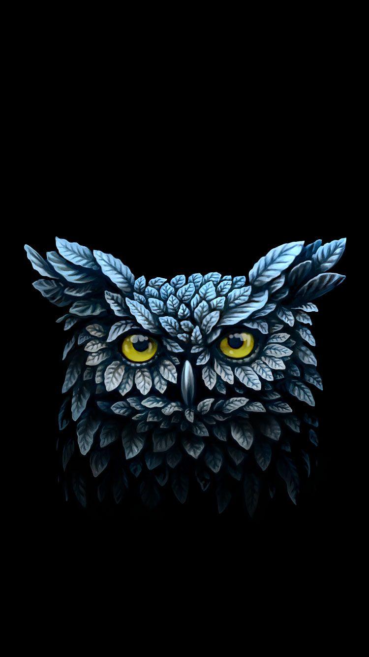 750x1334 Owl Wallpaper For Android