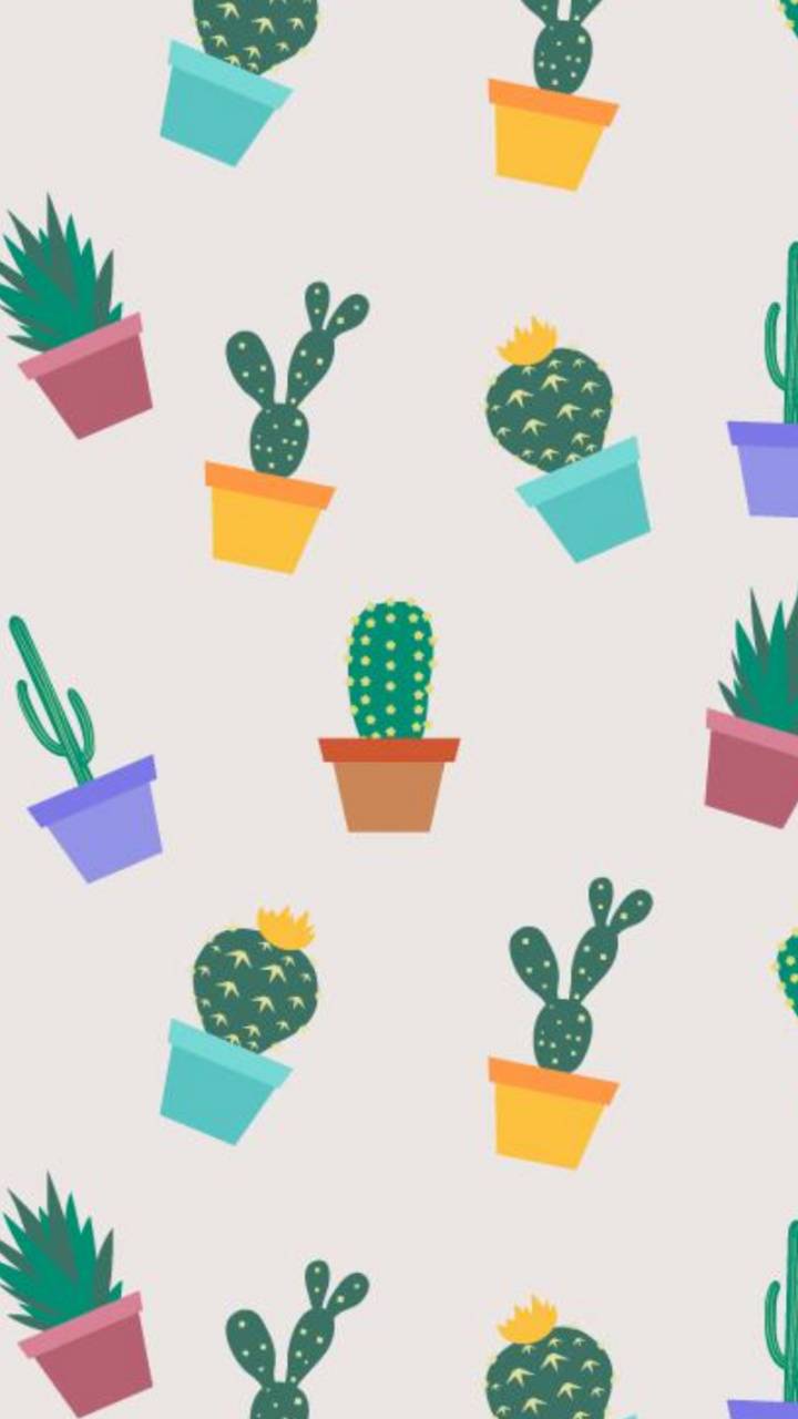 Cartoon Cactus Wallpapers - Top Free Cartoon Cactus Backgrounds