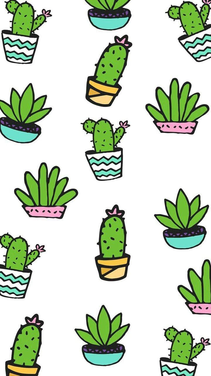 Cartoon Cactus Wallpapers - Top Free Cartoon Cactus Backgrounds