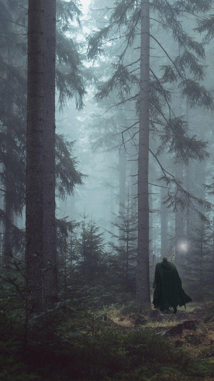 750x1334 Download 750x1334 Berserk, Guts, Forest, Walking, Trees Wallpaper