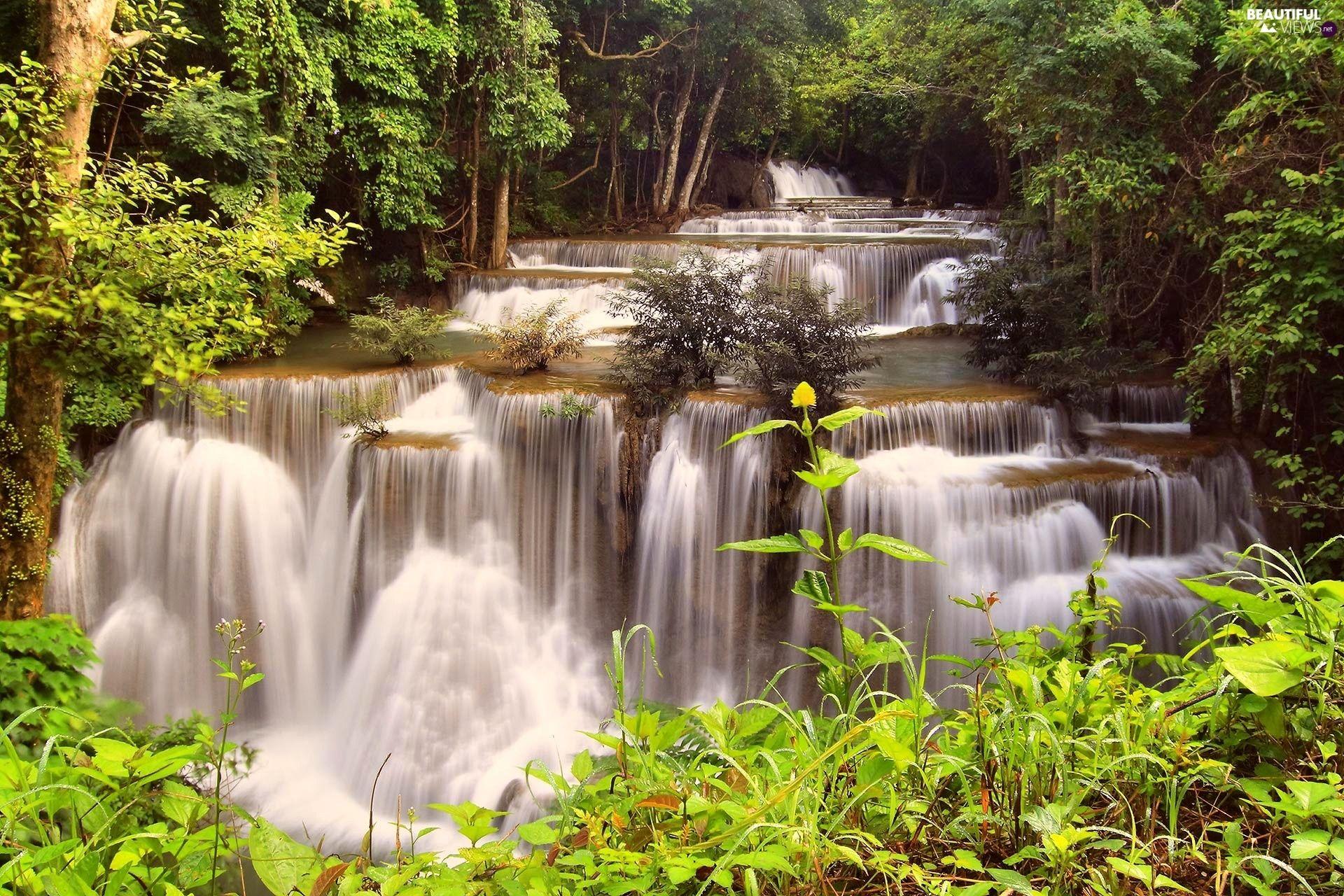 Thailand Forest Wallpapers - Top Free Thailand Forest Backgrounds ...