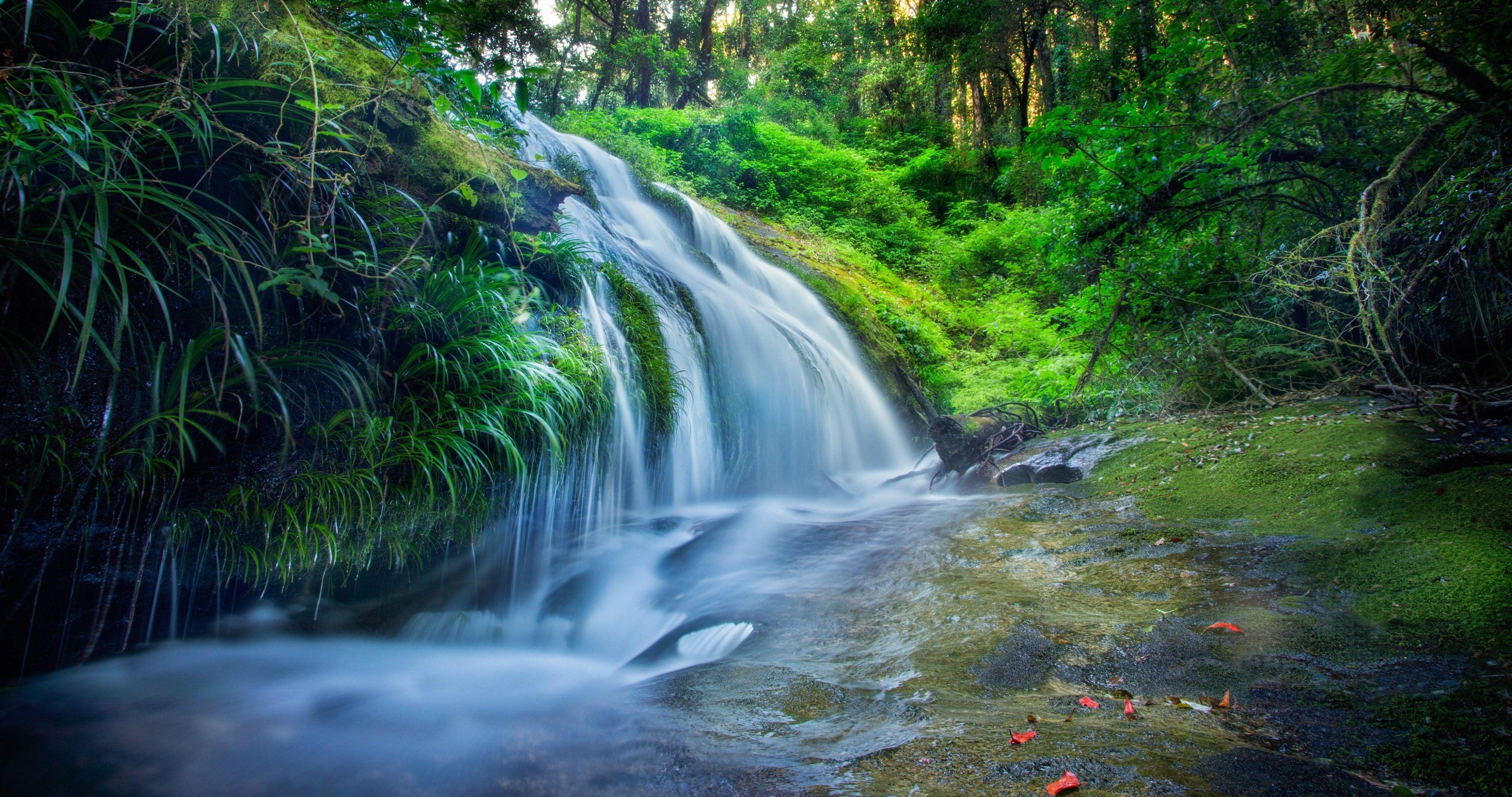 4096x2160 thailand forest 4k ultra HD wallpaper High quality walls