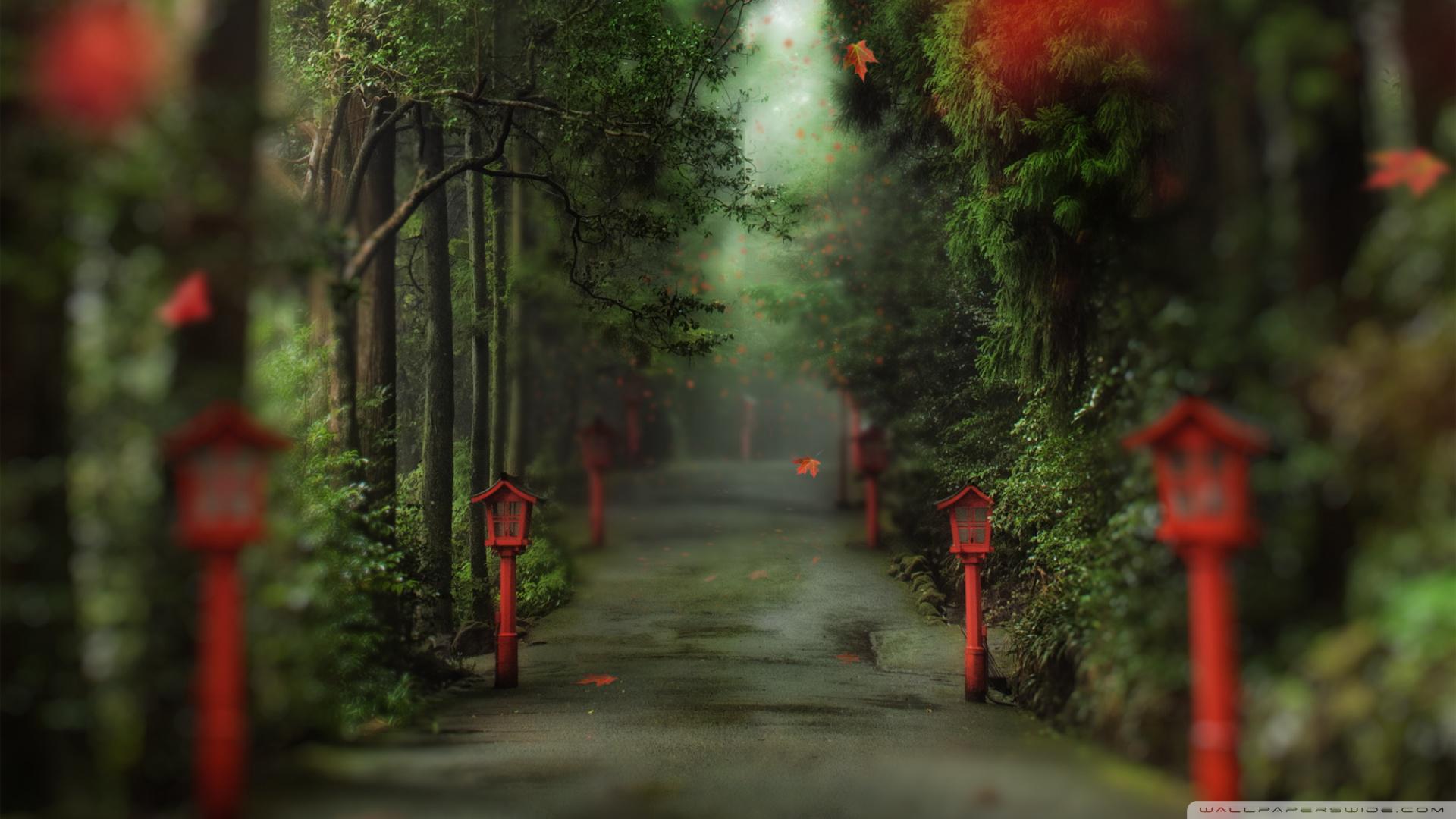 1920x1080 Alley along the forest, full file. jpeg v.7.6 image
