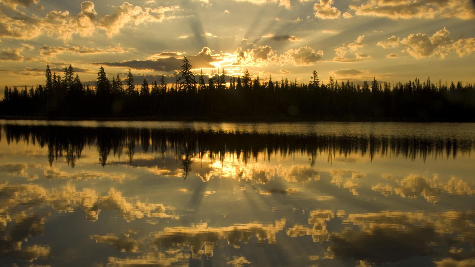1920x1080 Scenic Picture Scenic Oregon National World Sunset Sunrise Forest