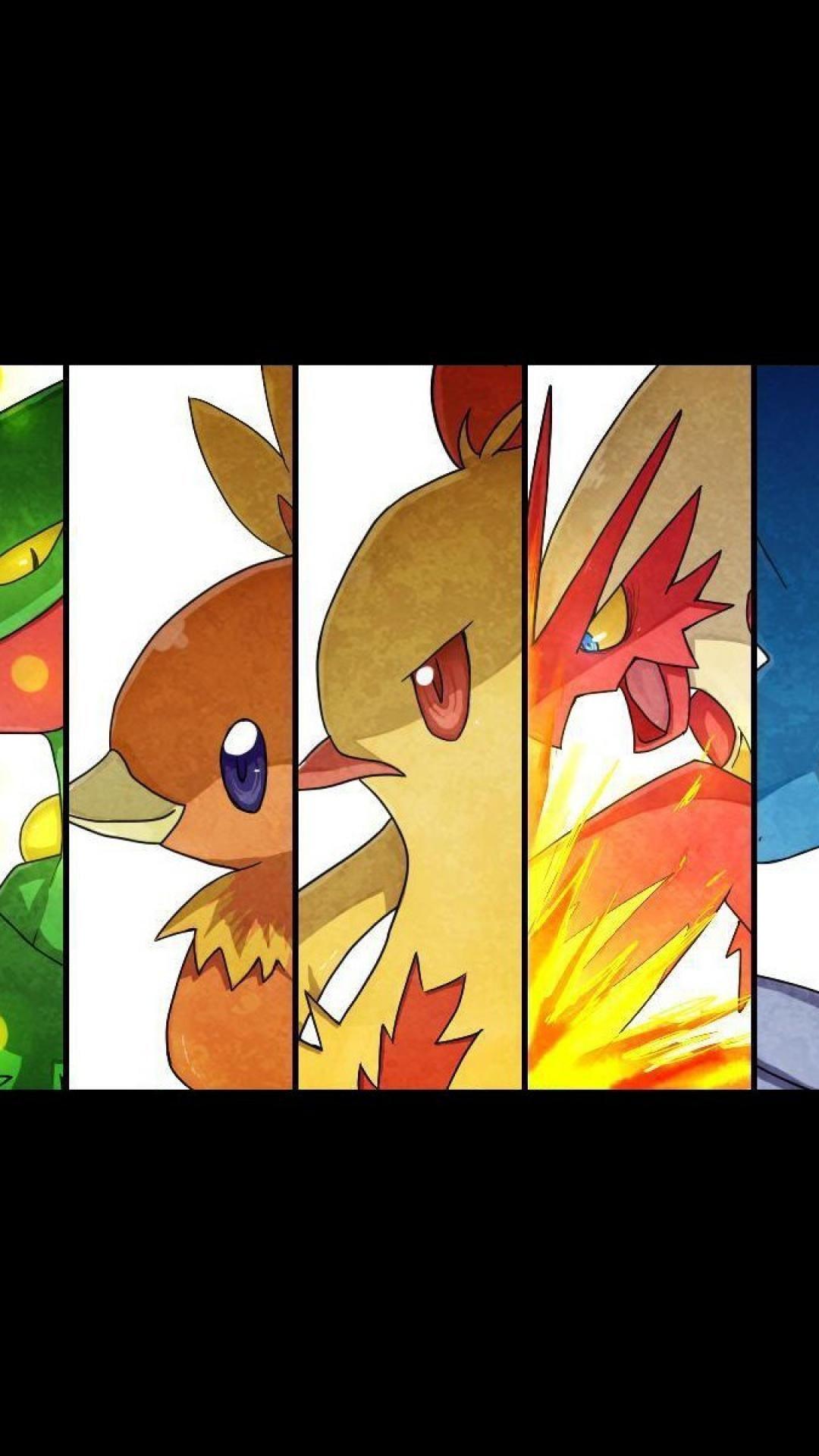 1080x1920 Grovyle marshtomp treecko torchic sceptile swampert combusken