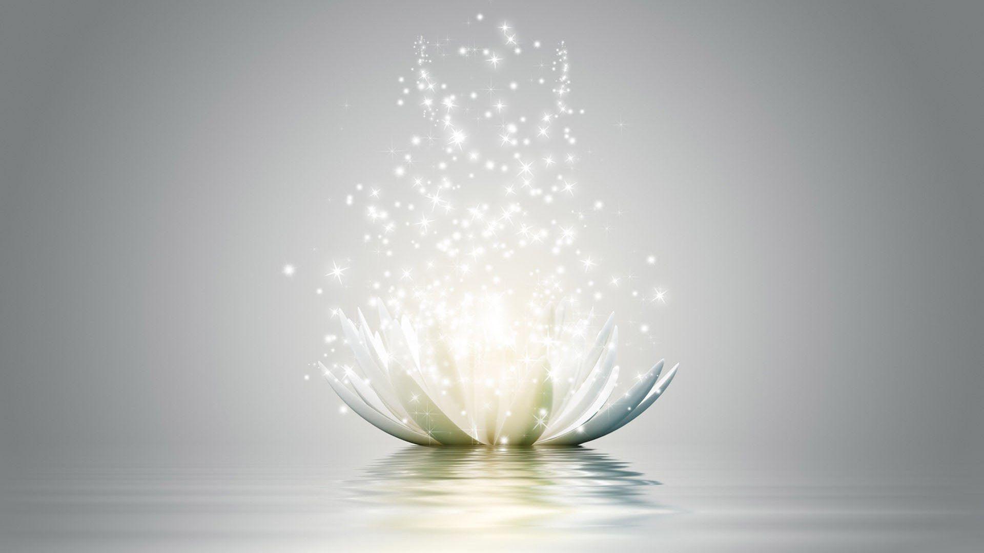 1920x1080 Animated White Lotus Flower as The Symbol of Yoga. HD