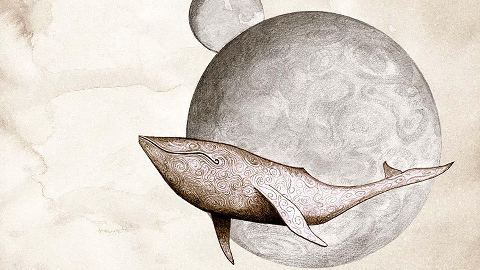 1600x900 whales gojira drawings 1600x900 wallpaper High Quality Wallpaper