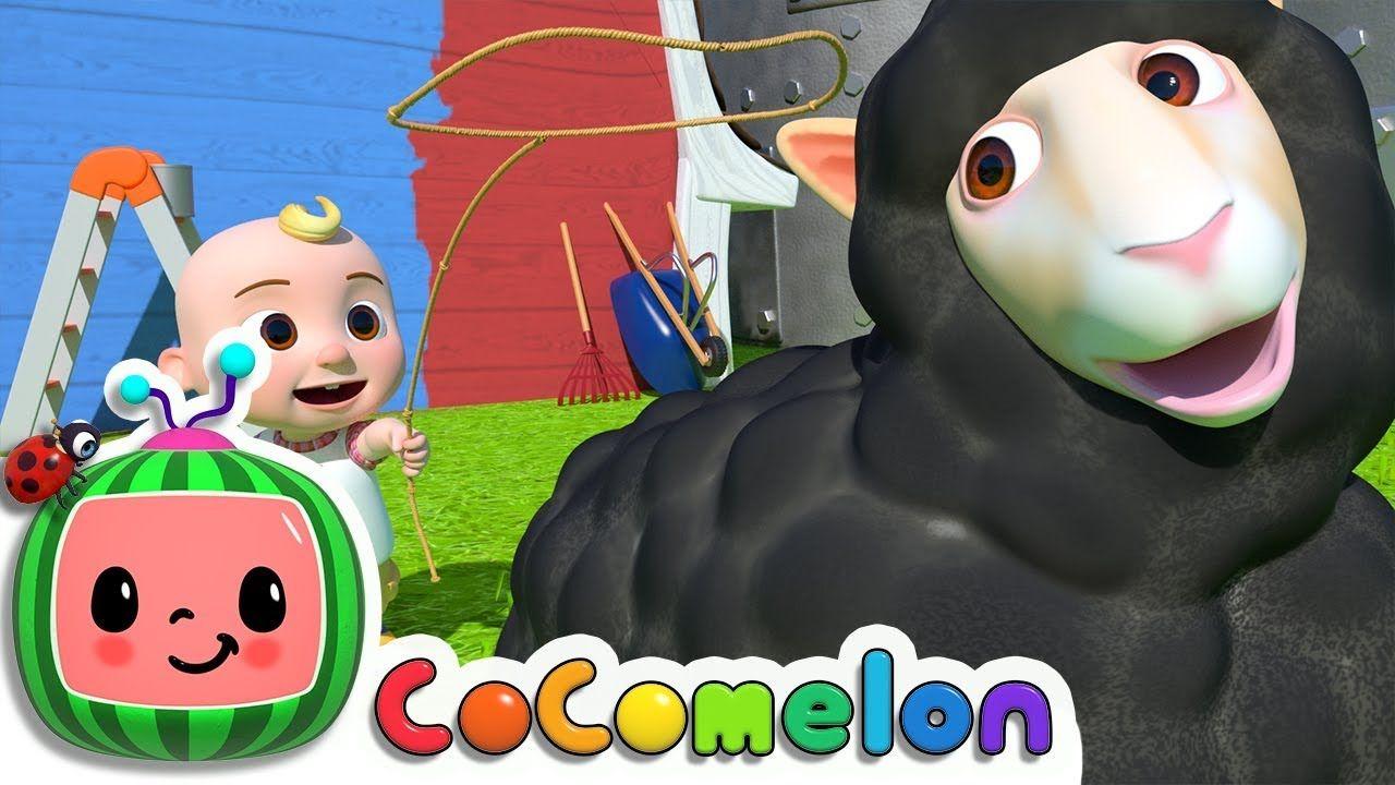 1280x720 Baa Baa Con cừu đen.  CoComelon Nursery Rhymes & Kids Songs