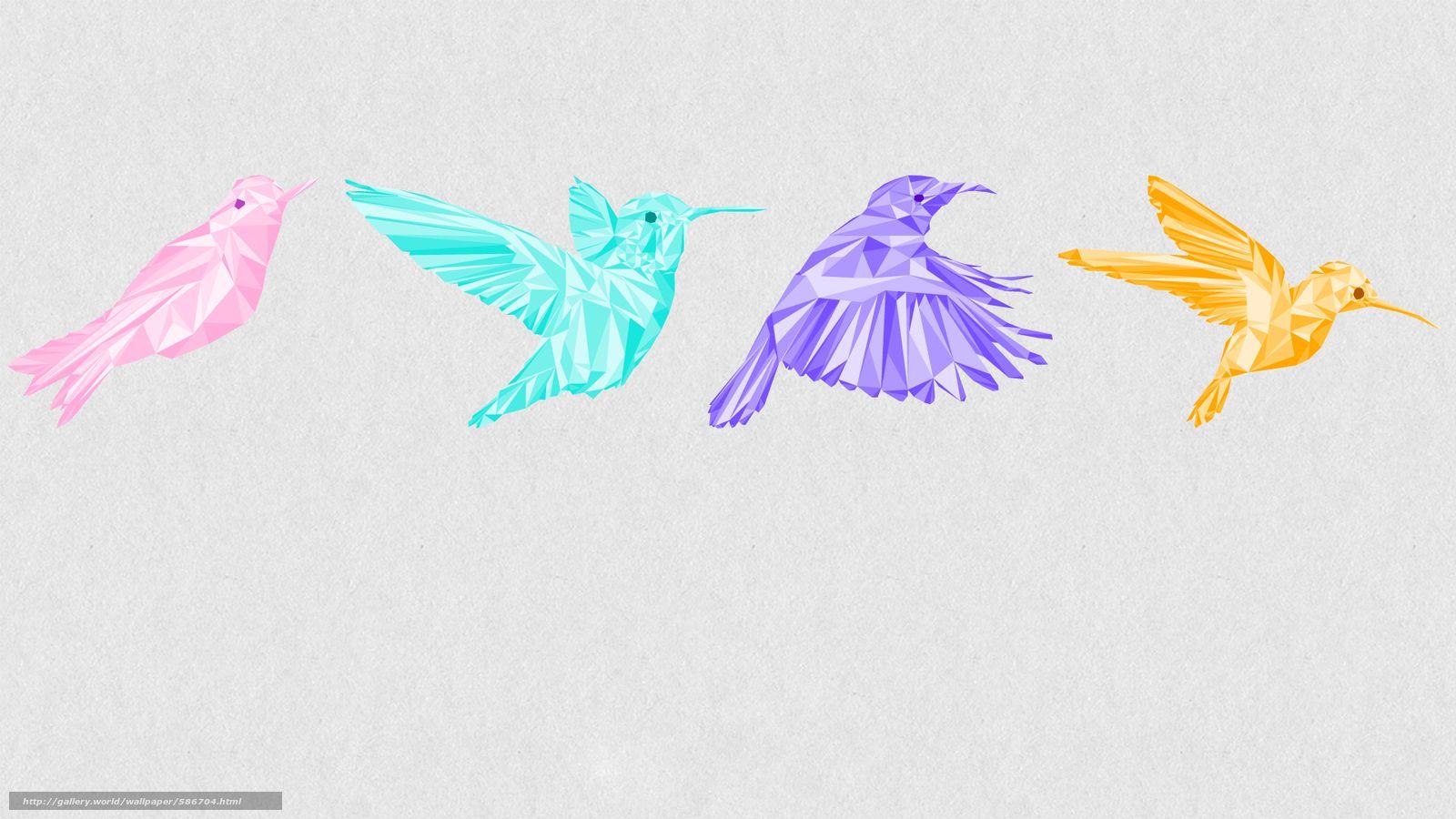 1600x900 Download wallpaper colibri, COLOR, graphics, bird free desktop