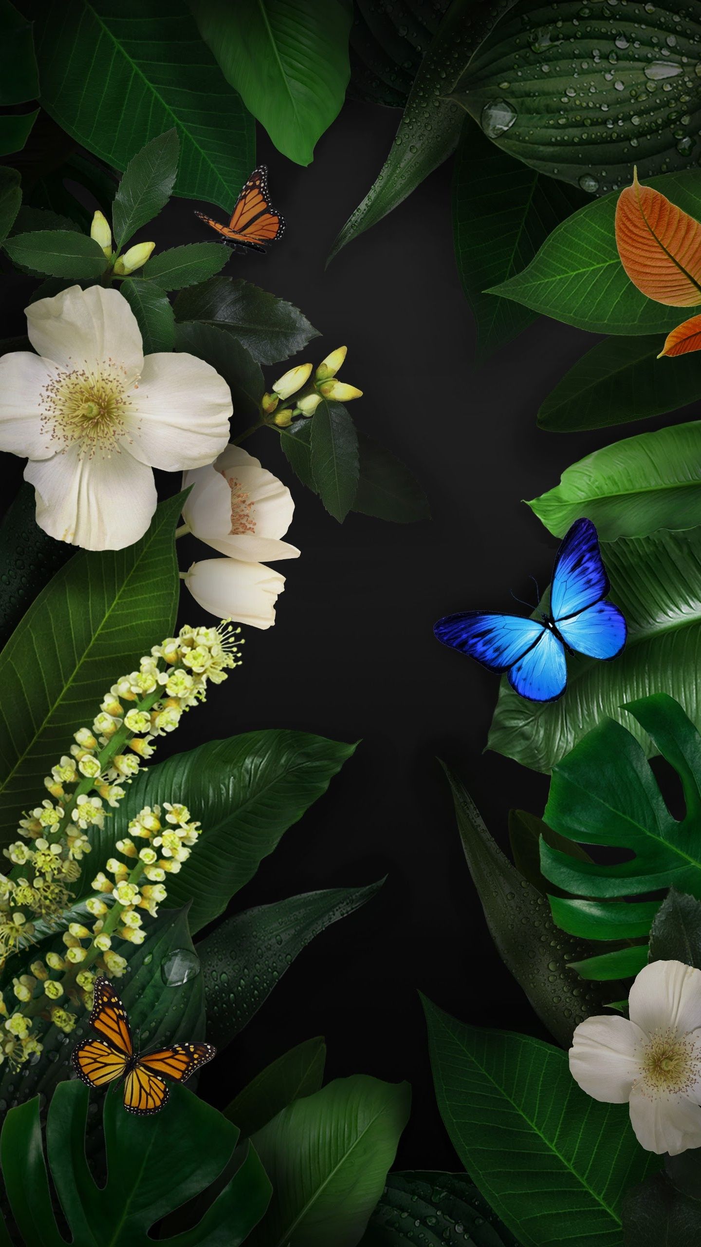 1440x2560 Huawei Mate 10 Pro Wallpaper for Google Pixel XL, Meizu Pro Nokia HTC U, Huawei P10 Quad HD