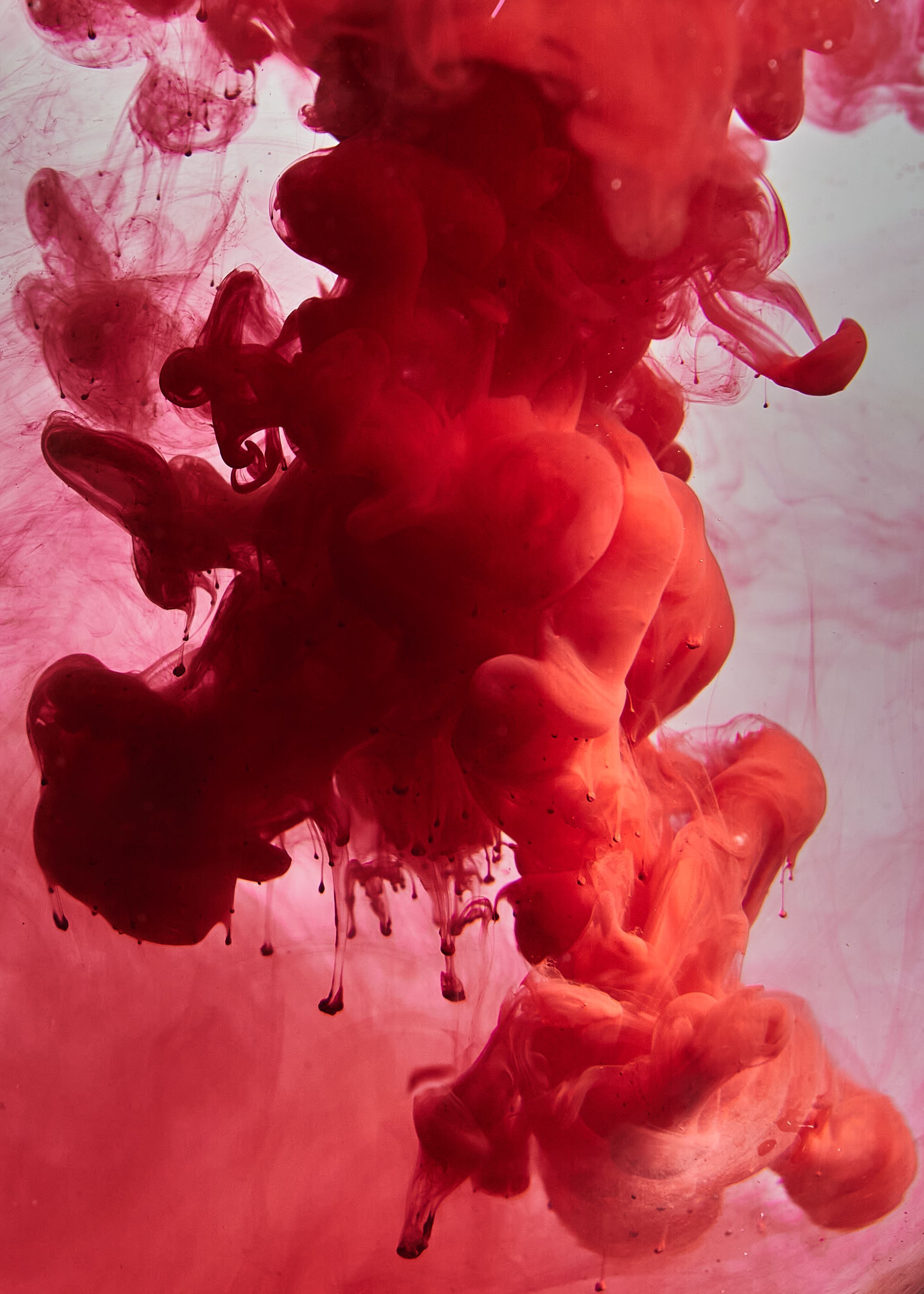 2233x3127 Red Ink Photo, Download The BEST Free Red Ink & HD Image