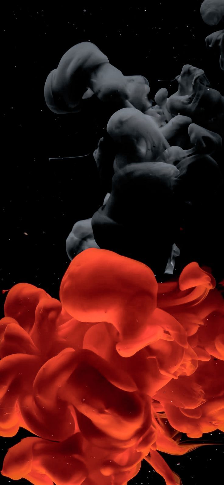 736x1592 Black & Red Ink