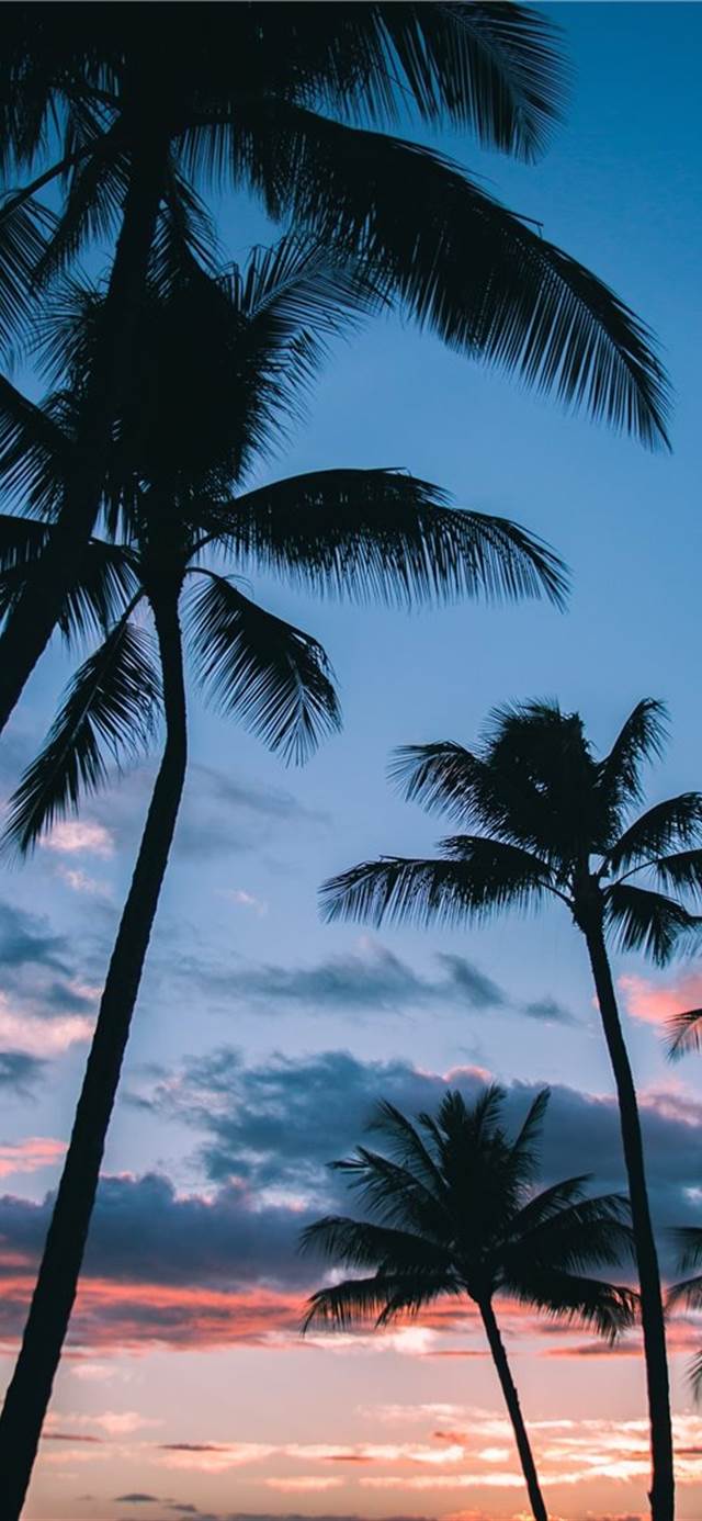 640x1386 Popolar samsung galaxy a20e Wallpaper Free HD