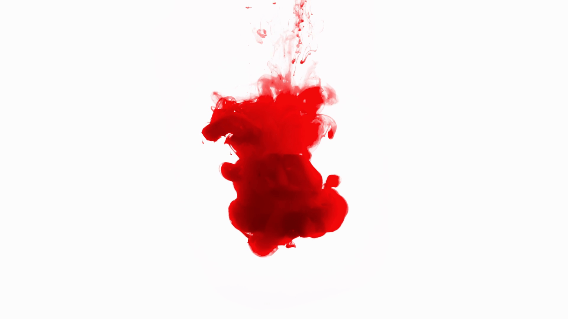 1920x1080 4k slow motion clip of blood red ink dropping into water against a white background, forming a thick cloud