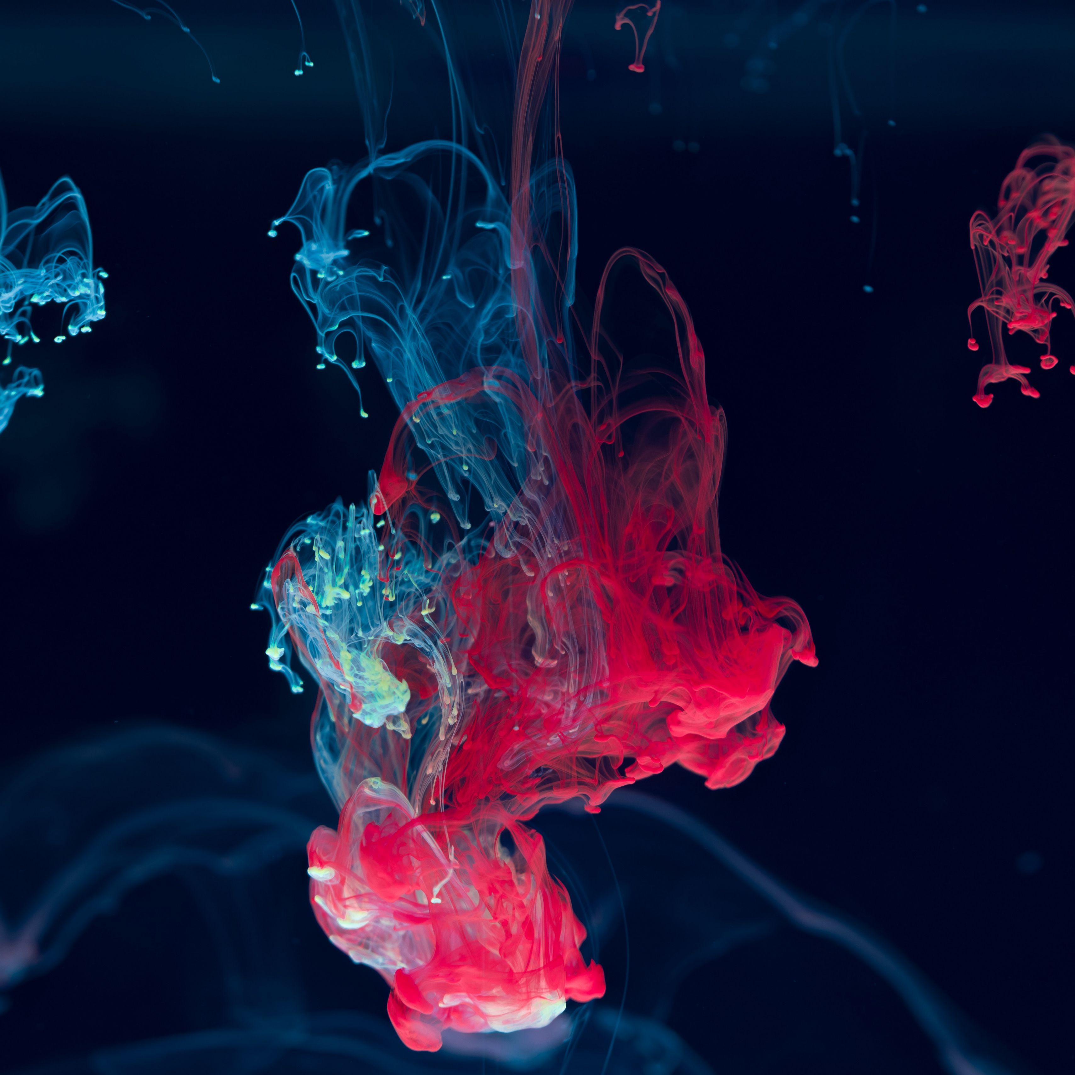 3415x3415 Download wallpaper 3415x3415 ink, water, blending, paint, drops, red, blue ipad pro 12.9 retina for parallax HD background