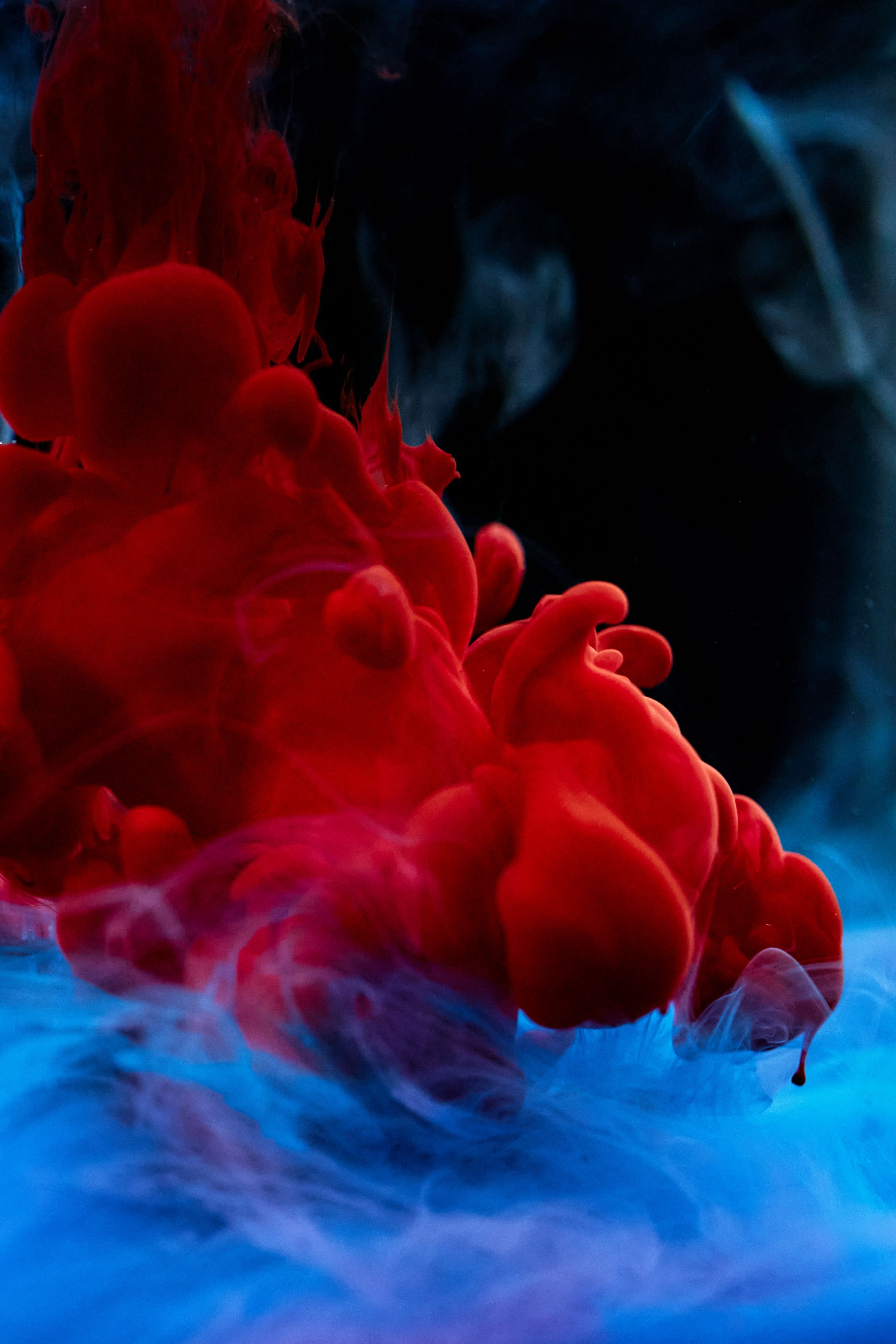 2659x3989 Abstract Red Ink Swirls in Water View · Free