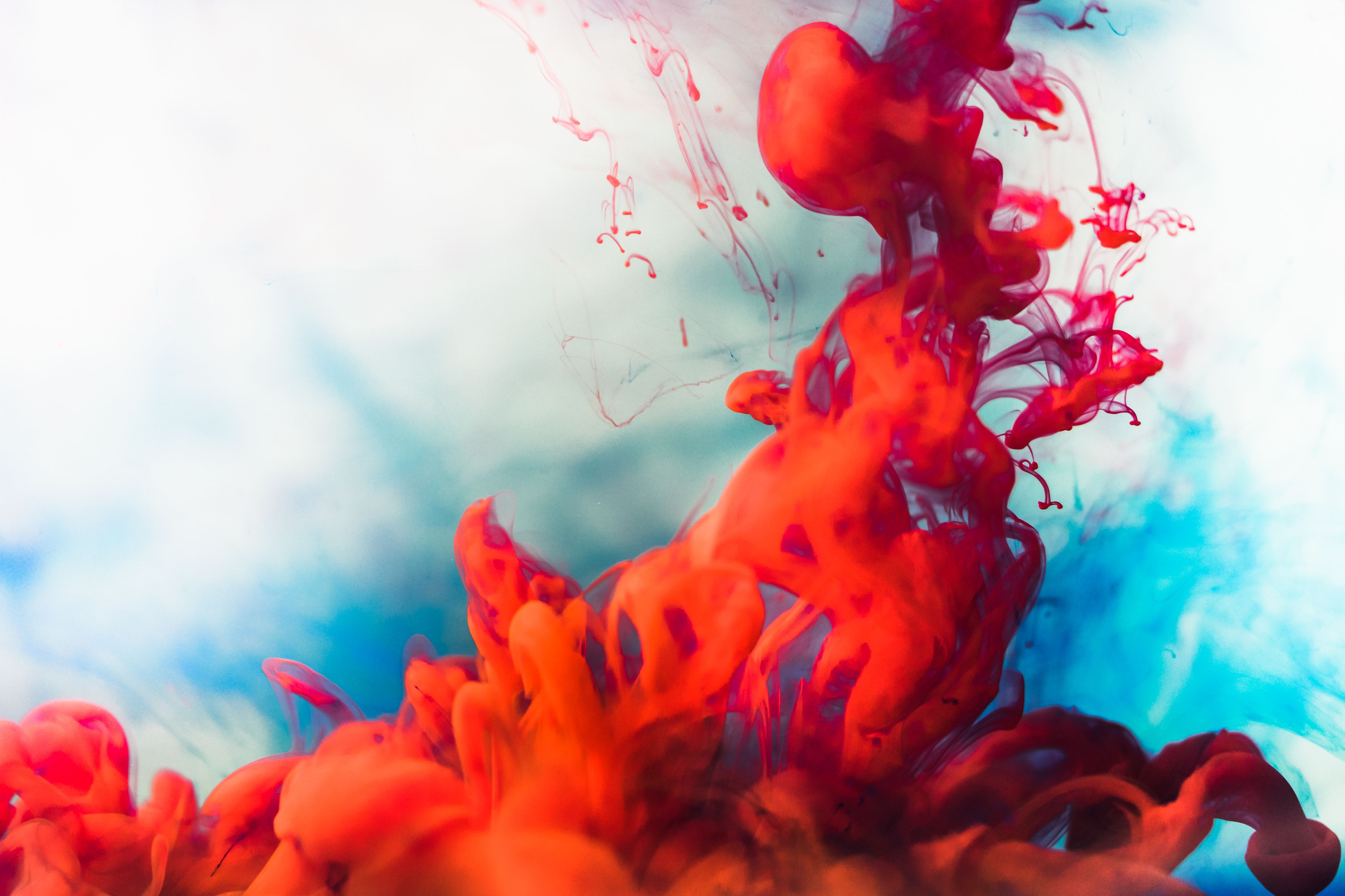 5000x3333 Ink Drop Wallpaper