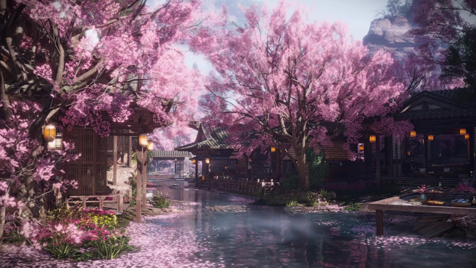1920x1080 Wondrous Cherry Blossom Village Live Wallpaper