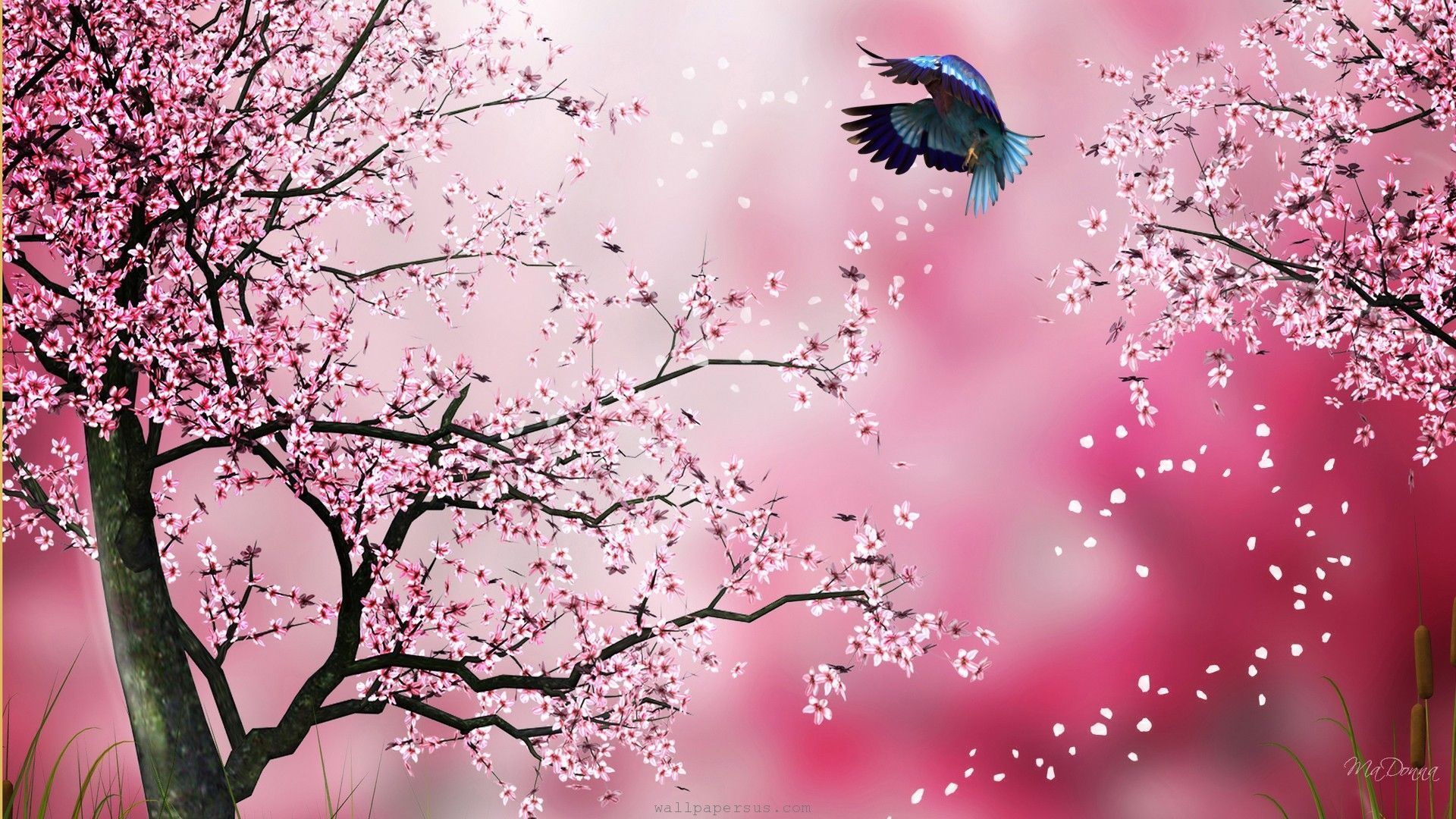 1920x1080 Cherry Blossom Art Wallpaper