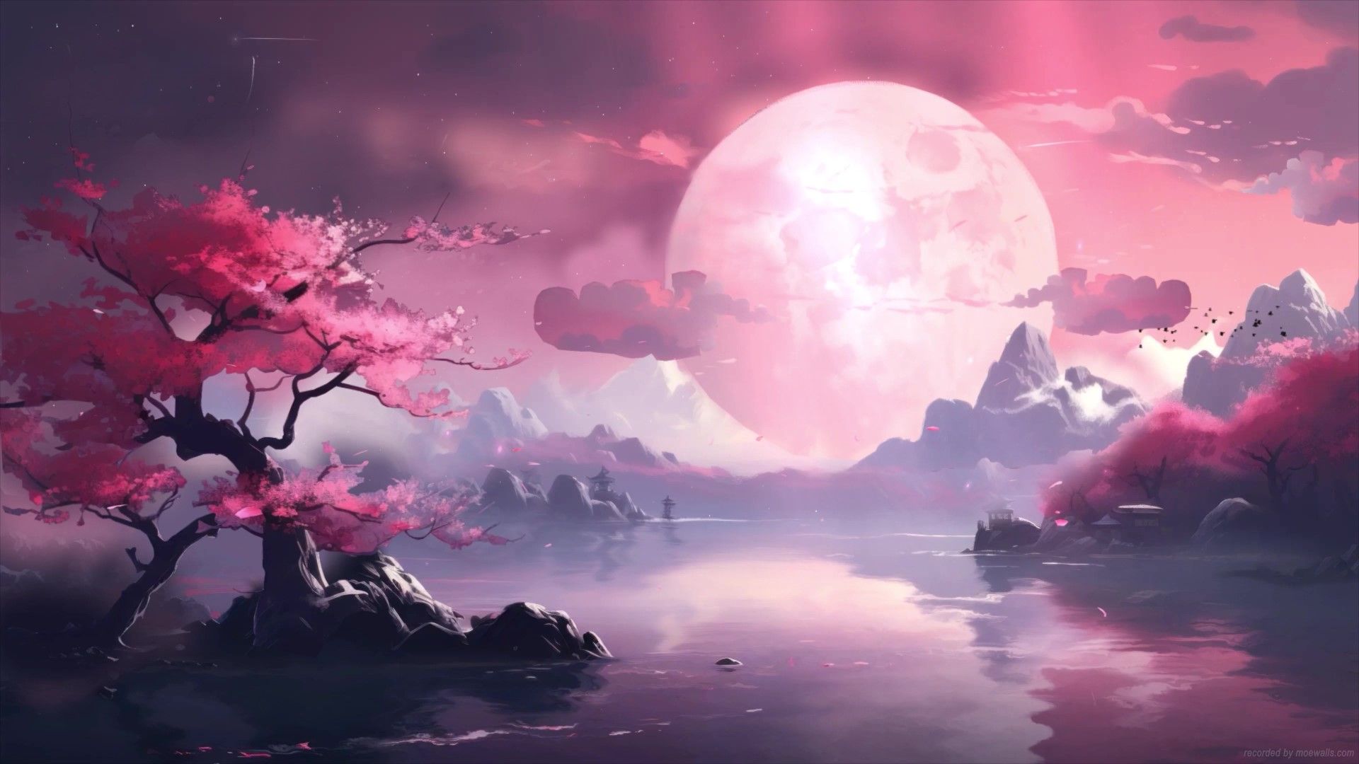 1920x1080 Cherry Blossom Lake Live Wallpaper