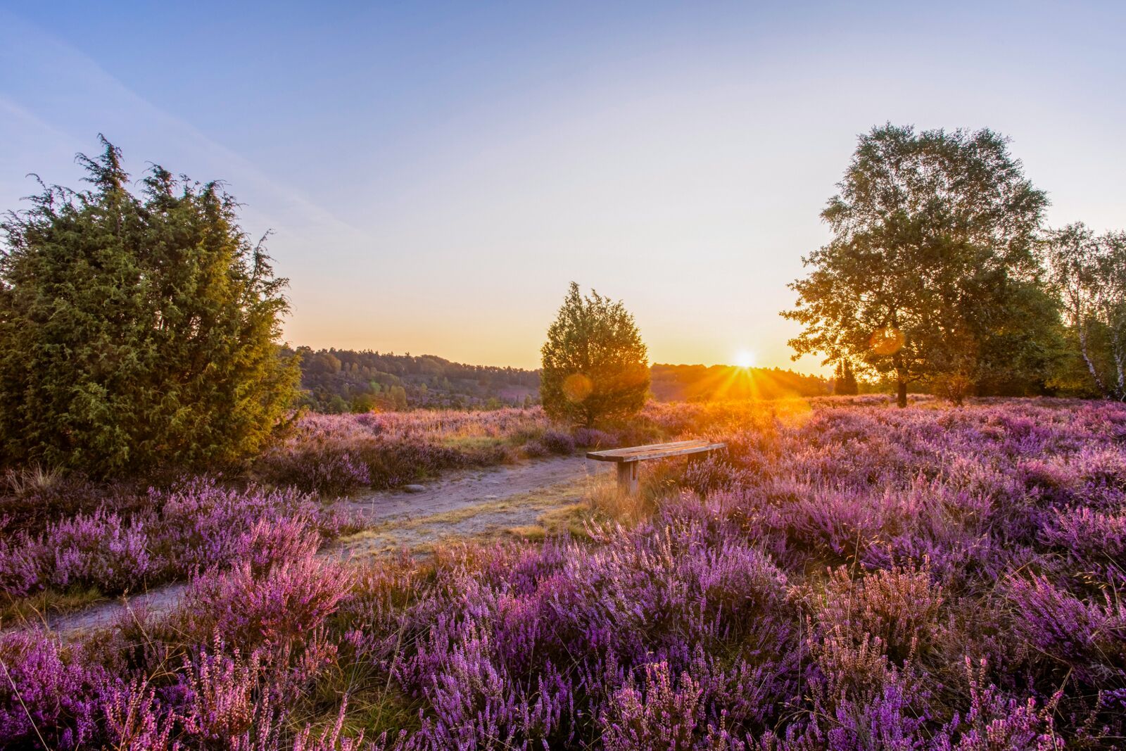 1600x1067 Cycling Holiday in the Lüneburg Heath