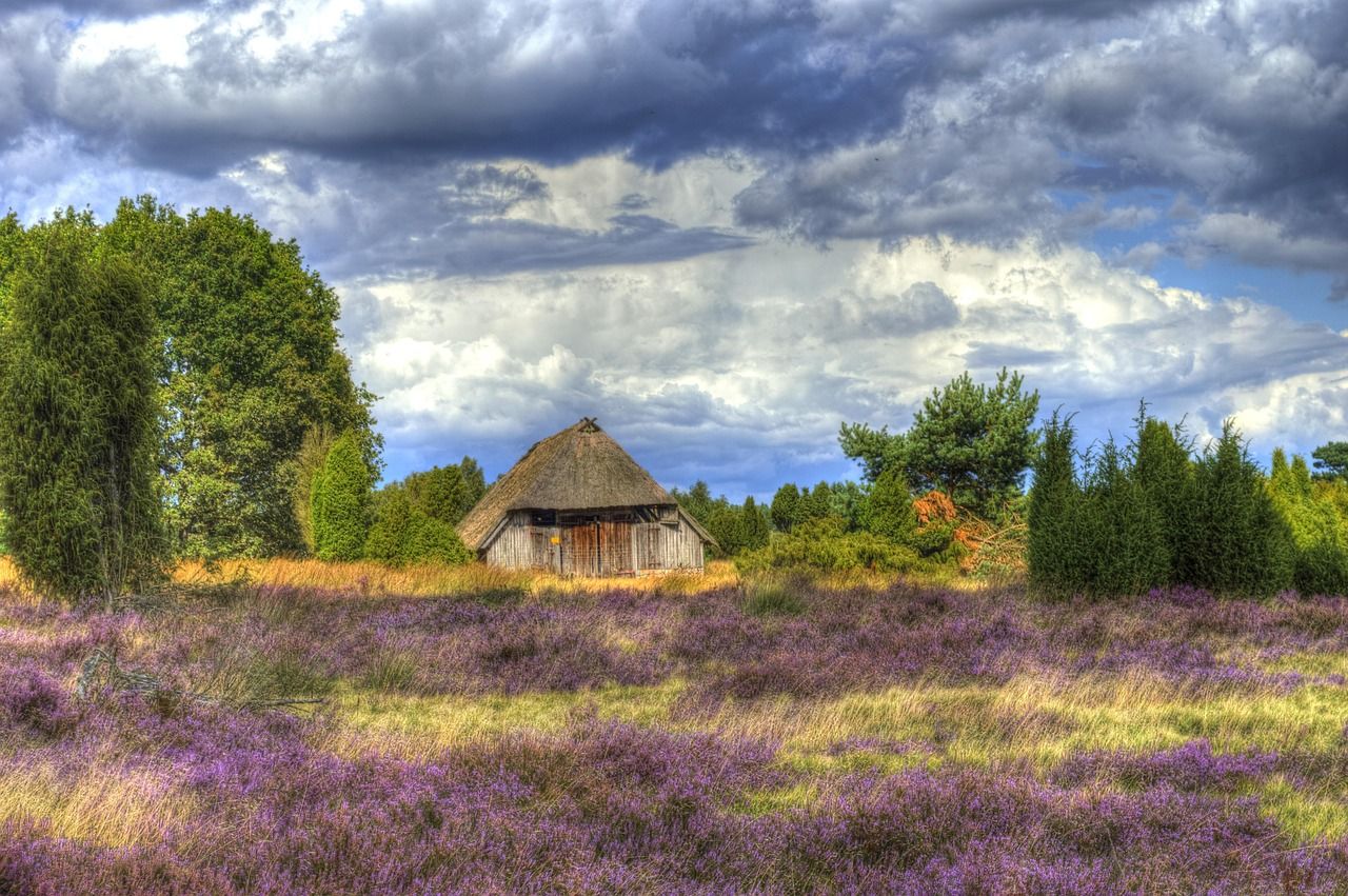 1280x851 Free Schneverdingen & Wetland Image