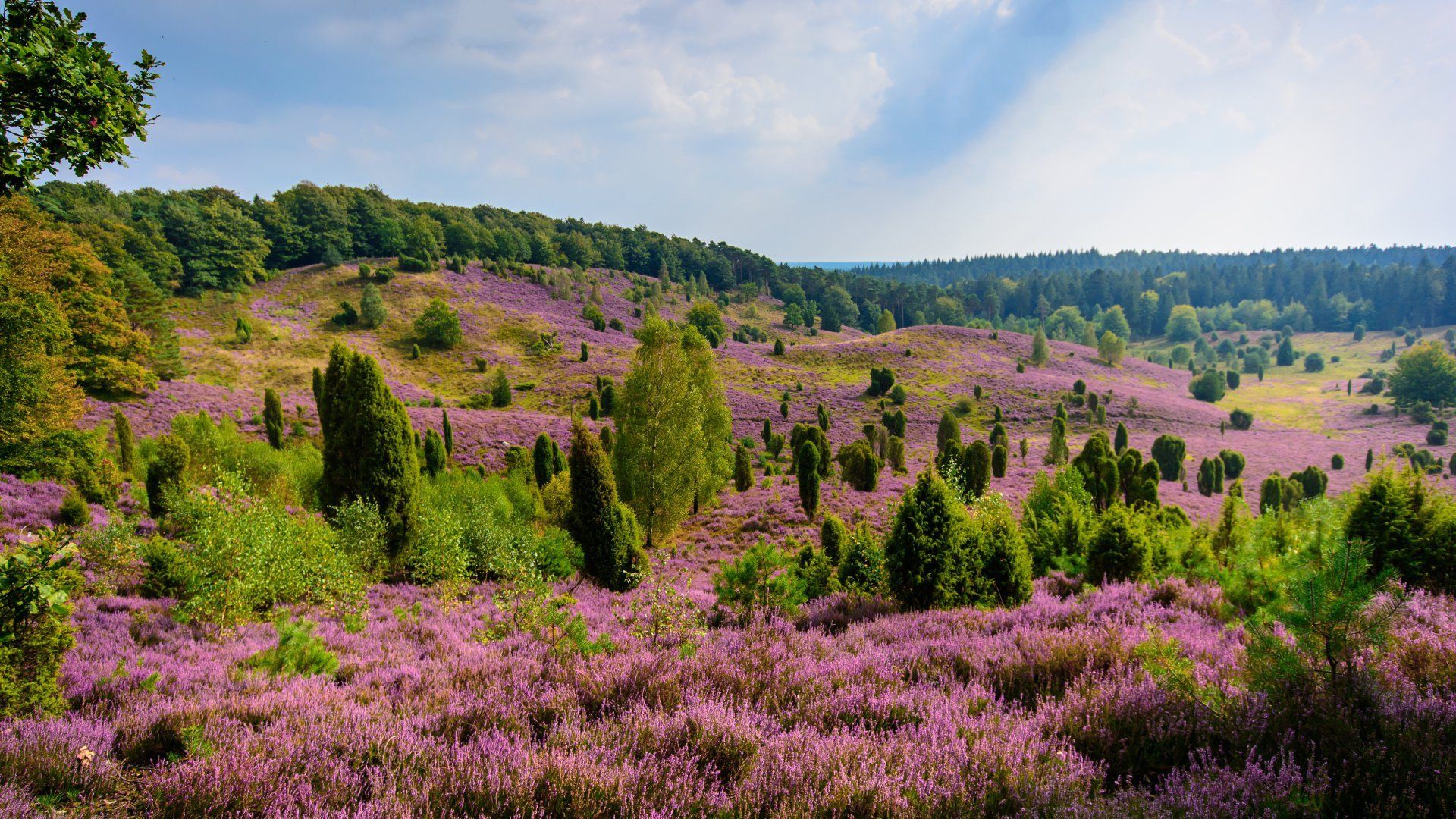 1920x1080 More experience with the Lüneburg Heath Adventure Card