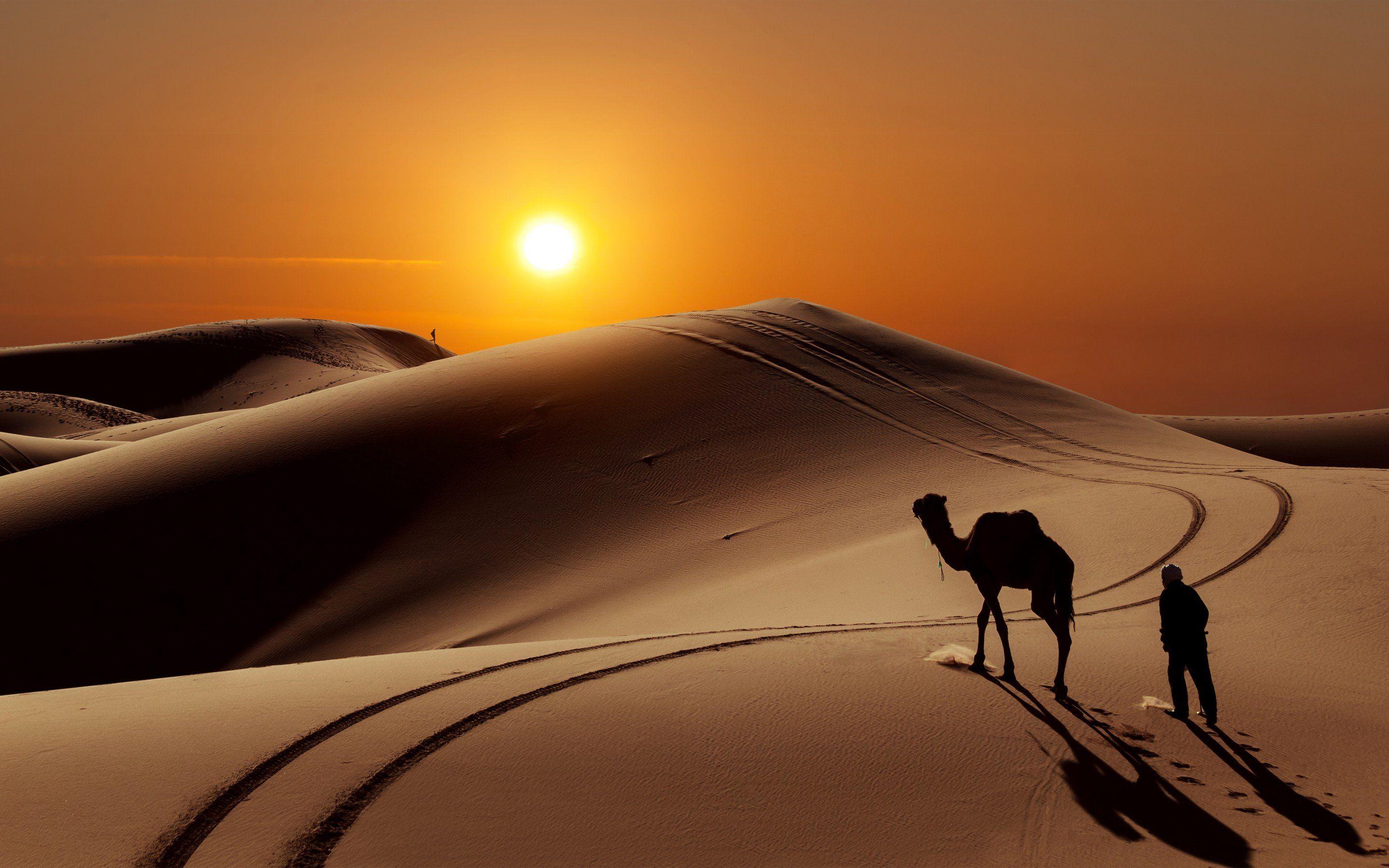 2880x1800 Desert sand dunes camels people sun wallpaperx1800