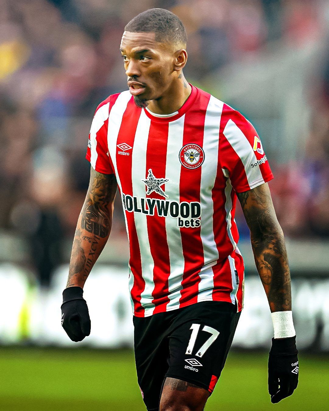 1080x1350 Ivan Toney Wallpaper