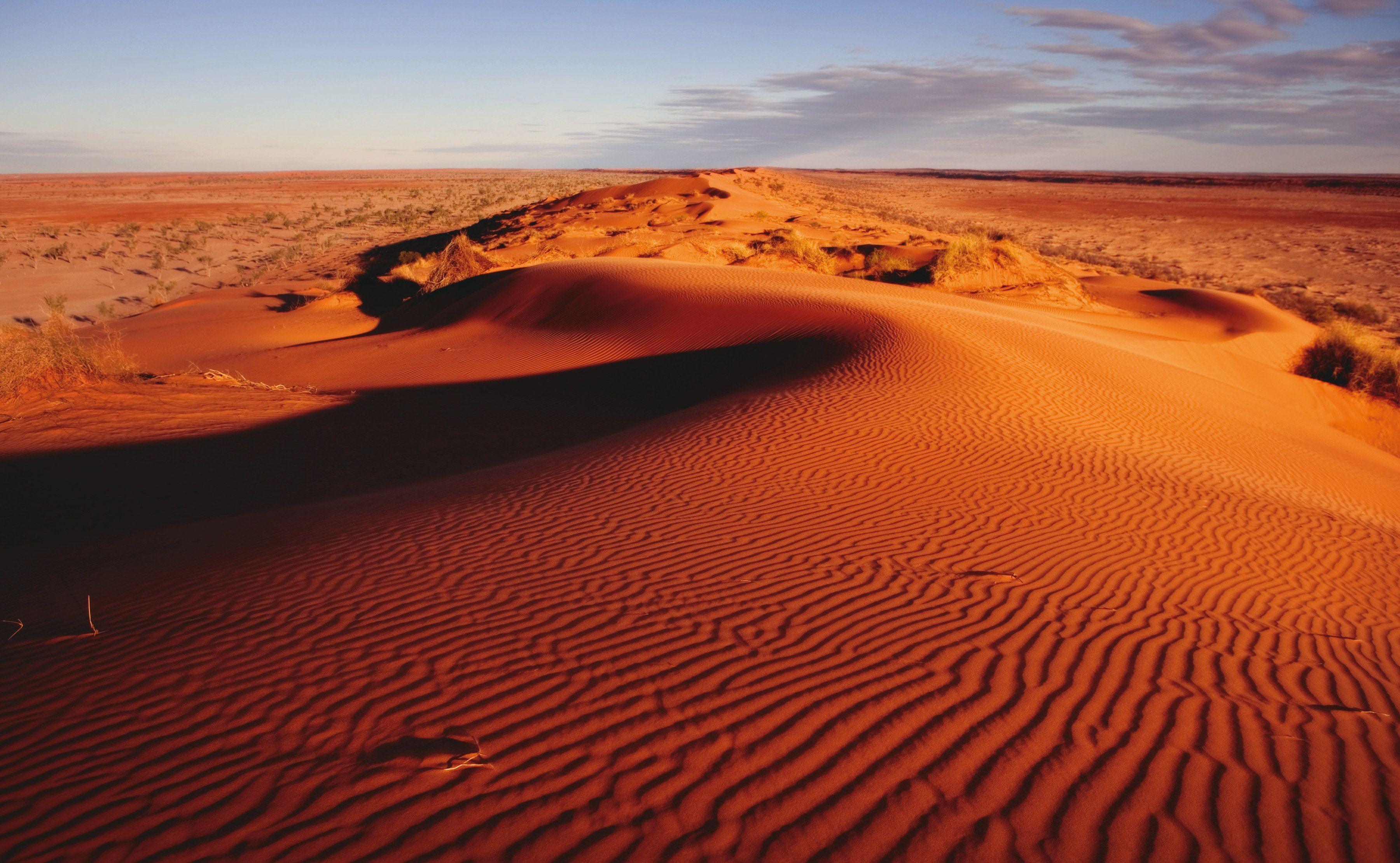 Самая большая пустыня на планете земля. Симпсон Дезерт национальный парк Австралии. Great Victoria Desert Австралия.