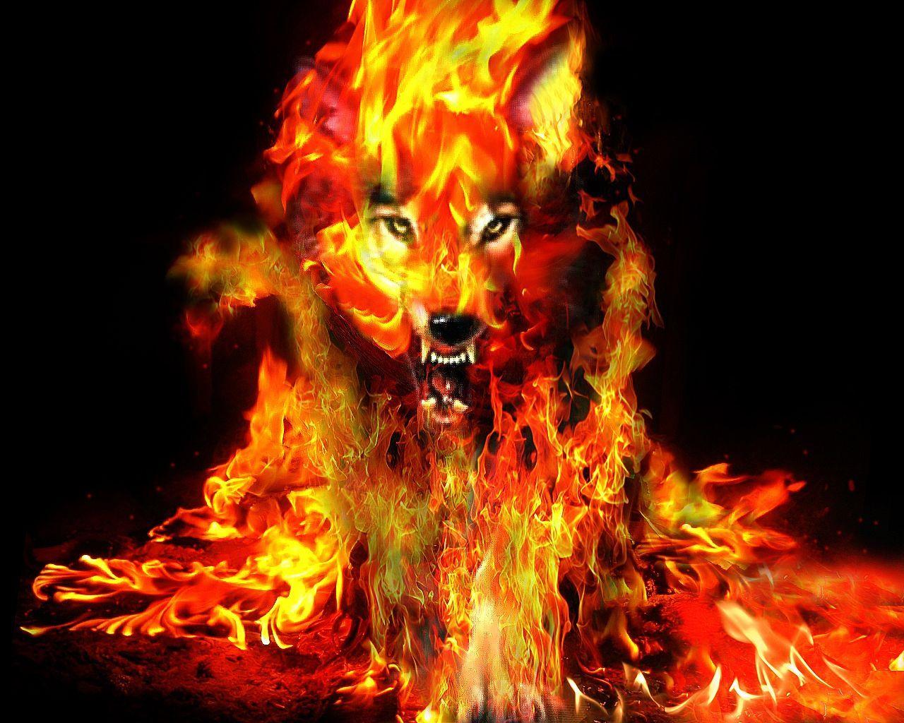 Cool Fire Wolf Wallpapers Top Nh ng H nh nh p