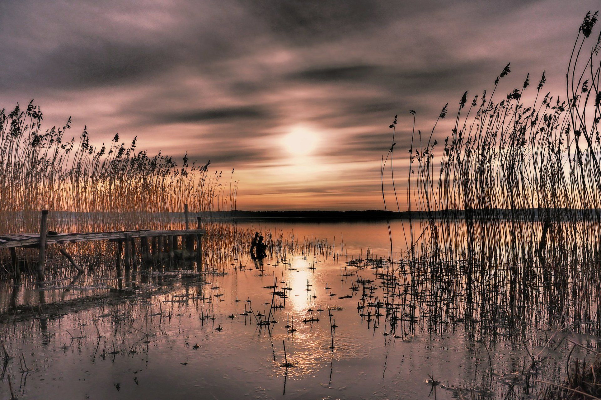 1920x1280 Sunset Over Swedish Reeds