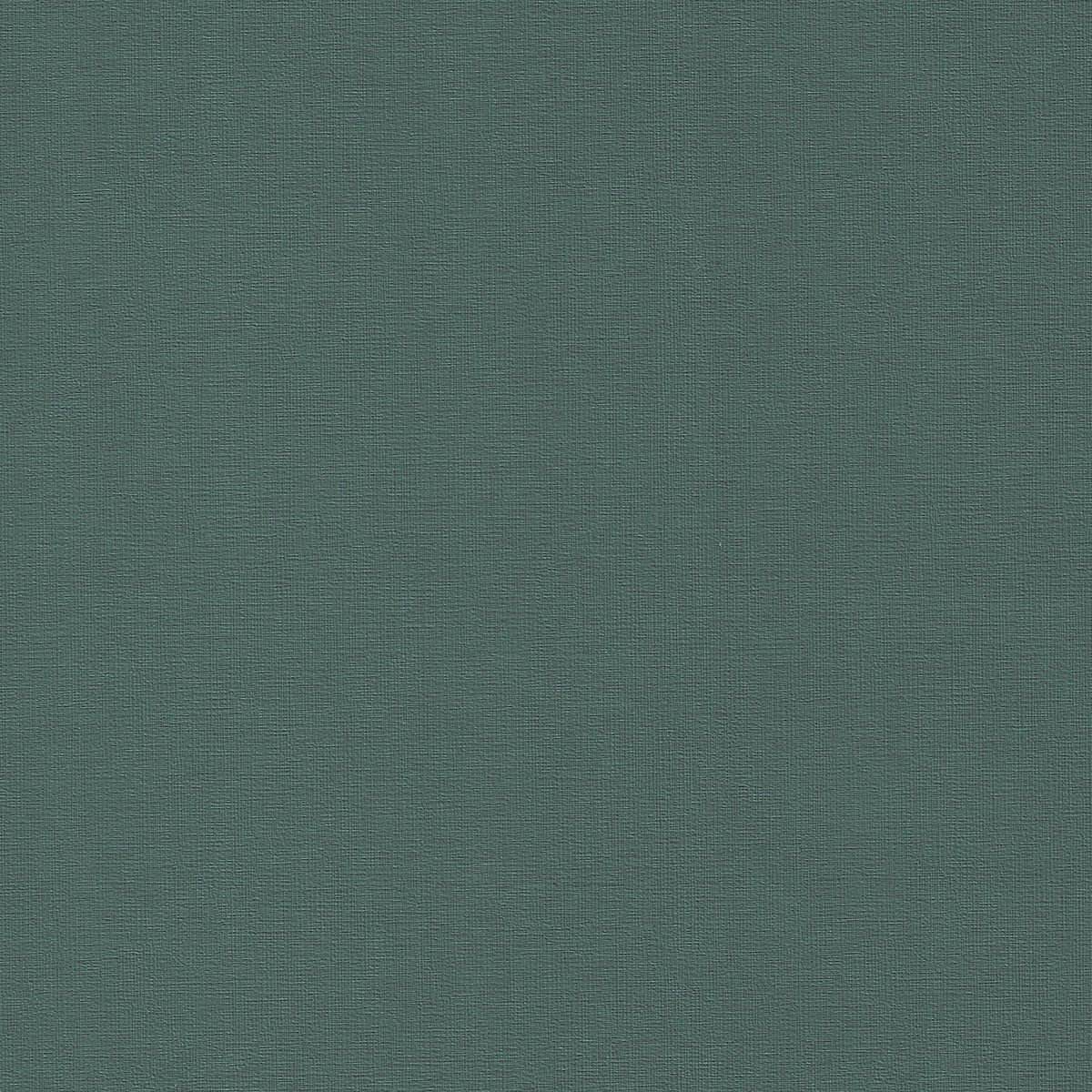 1200x1200 Bayside Fern / BYS 111