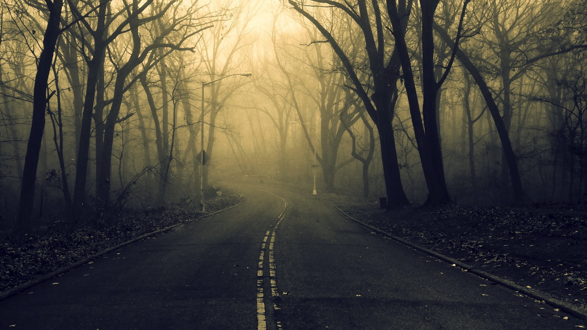 1920x1080 Landscape photography of freeway with leafless trees, road, forest, spooky HD wallpaper
