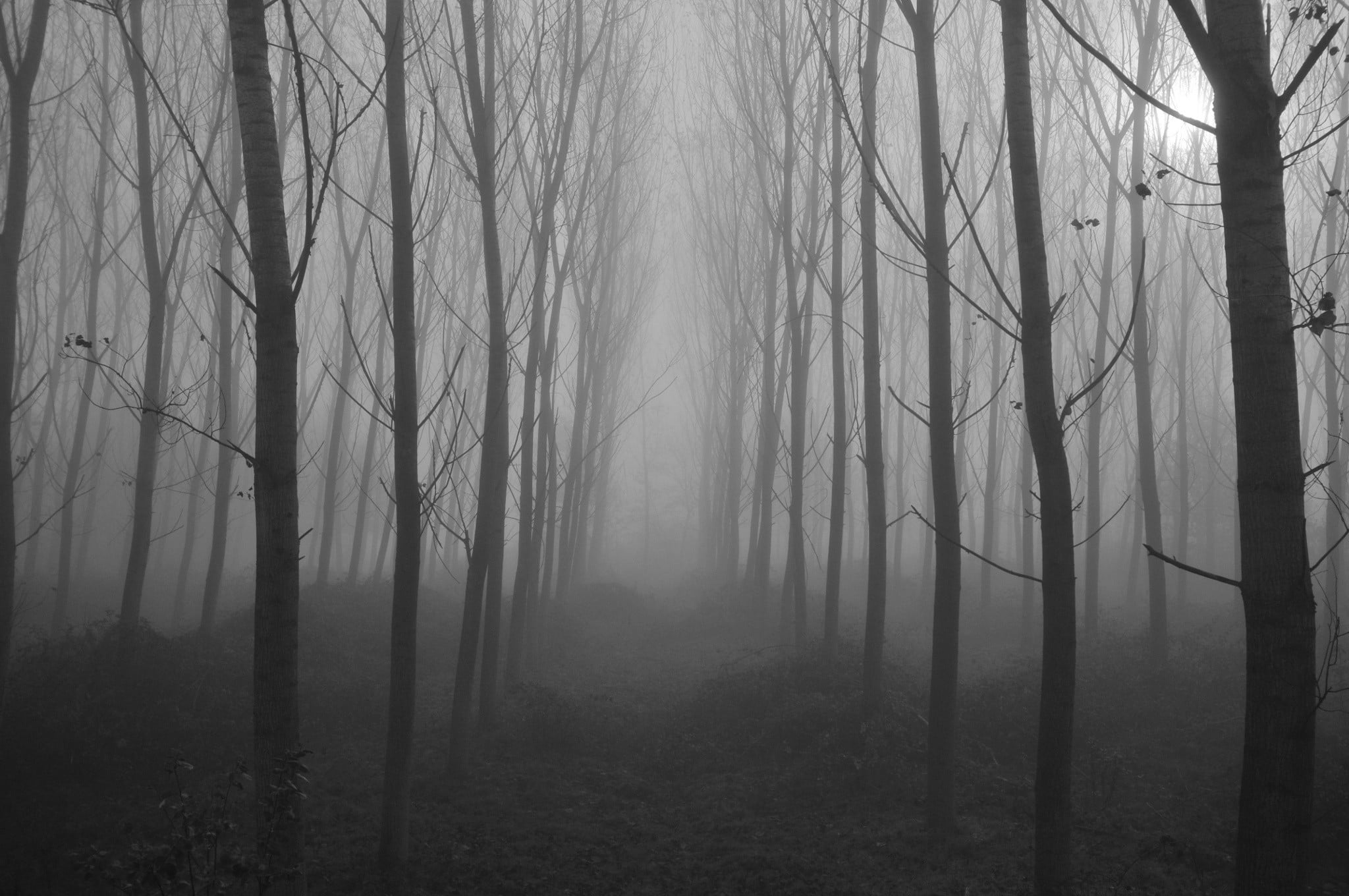 2048x1360 Black metal framed glass window, landscape, nature, spooky HD wallpaper