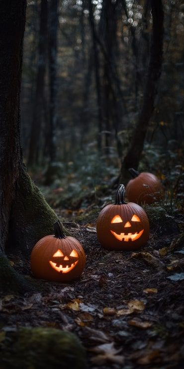 370x740 Halloween Pumpkin Mobile Wallpaper Photo Free High Quality Picture
