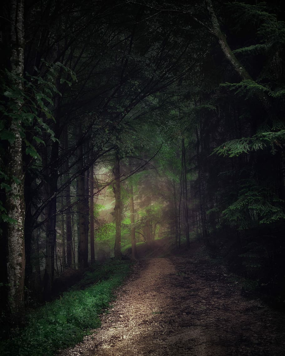 910x1137 Spooky dirt road 1080P, 2K, 4K, 5K HD wallpaper free download