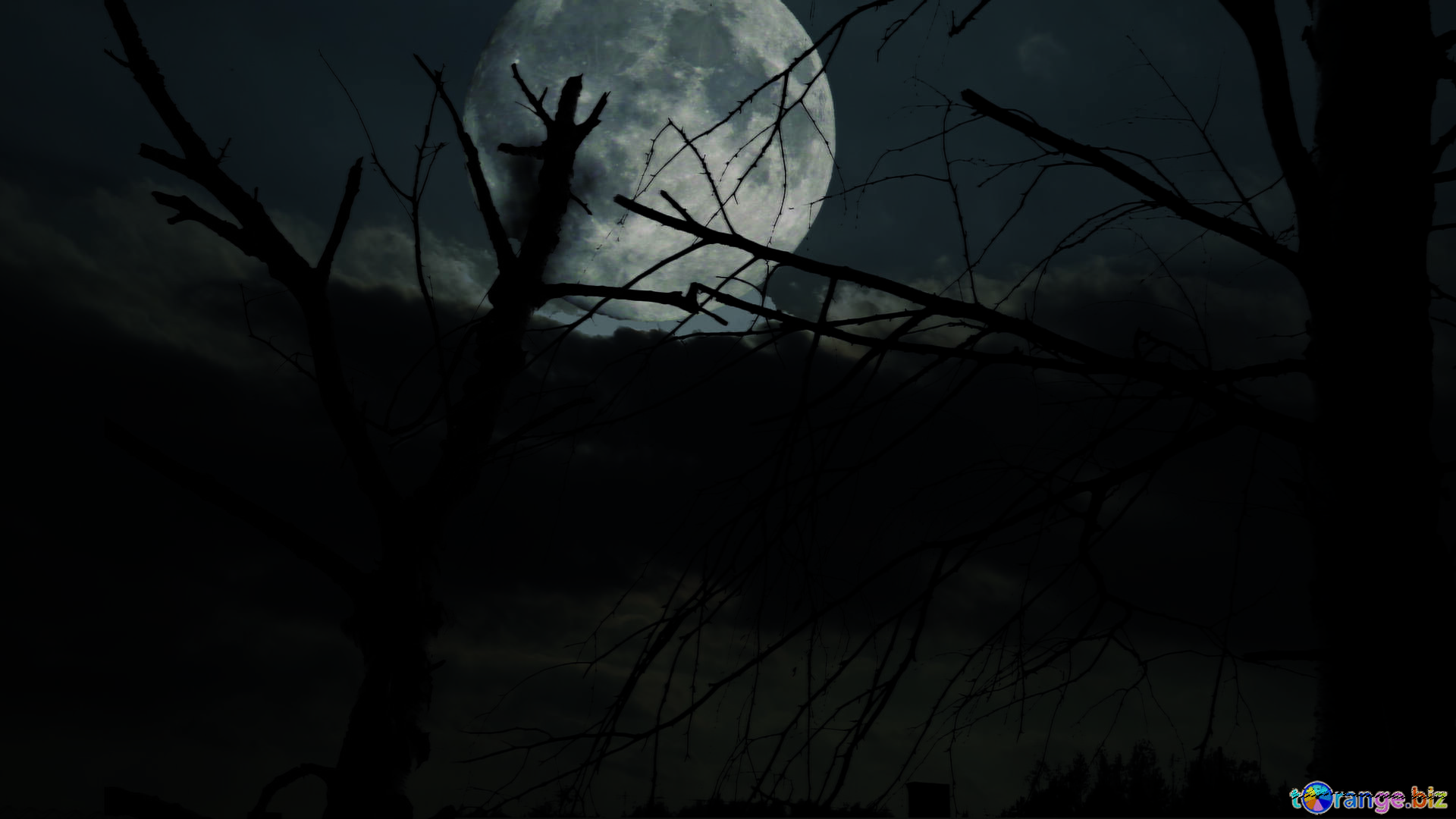 1920x1080 Gloomy landscape on halloween free image - № 24227