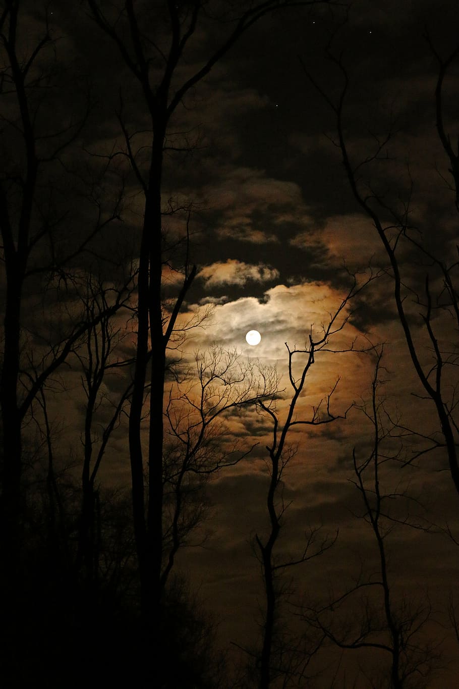 910x1365 worm, eye view, full, moon, night time, full moon, dark, spooky