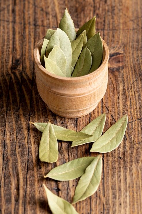 493x740 Bay Leaf Oil Photo Free High Quality Picture