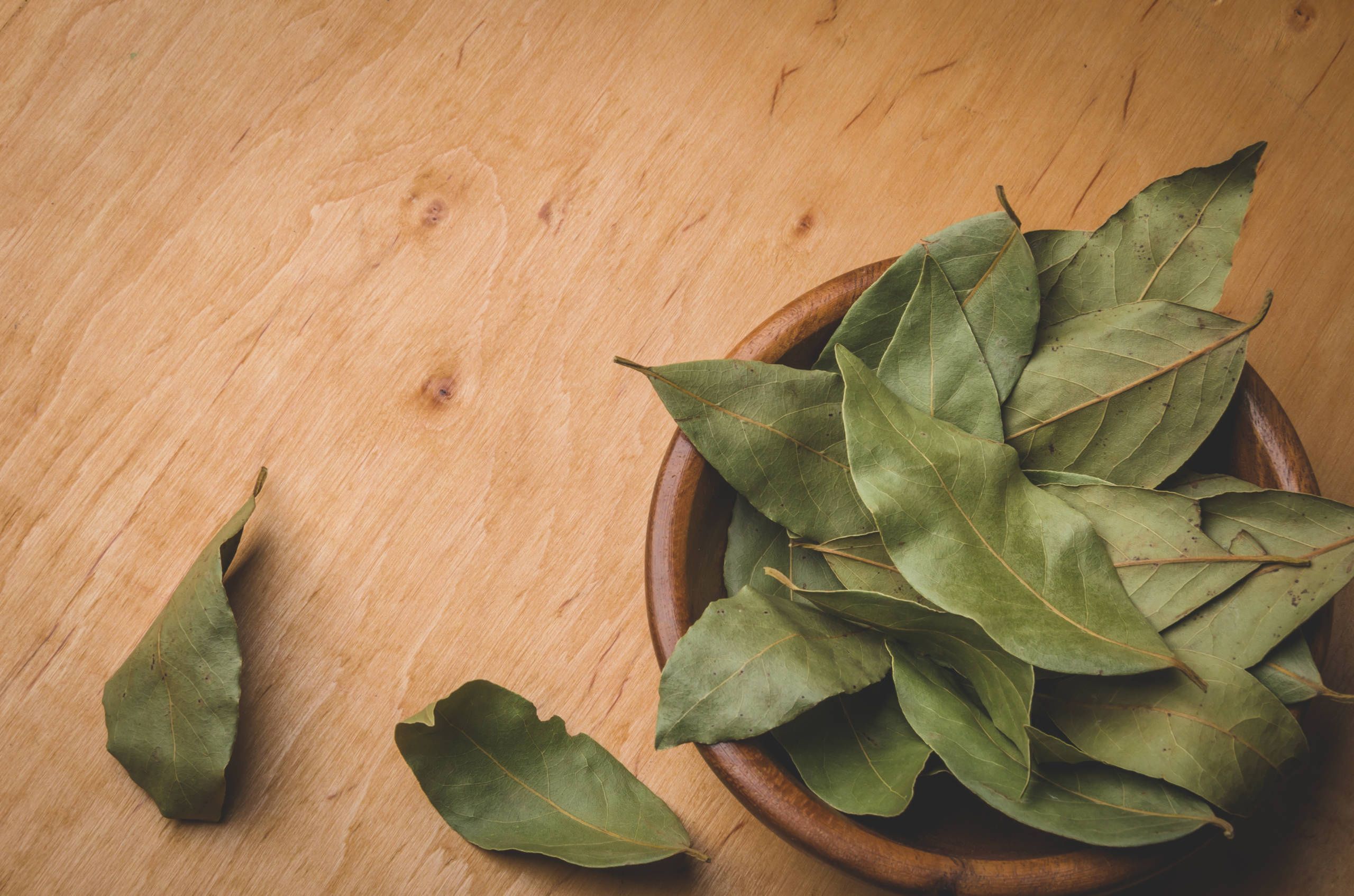 2560x1695 Bay Leaves Wallpaper