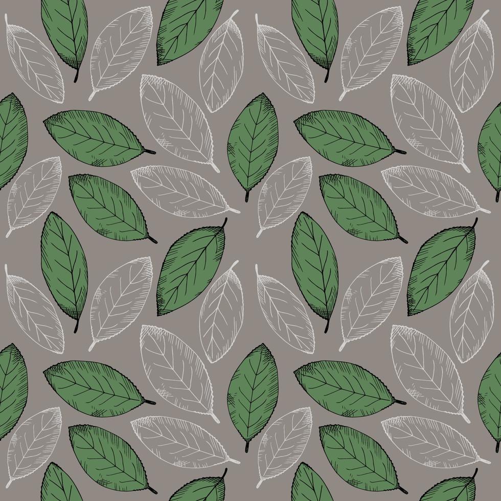 980x980 Seamless Pattern With Bay Leaf. Repeating Background With Laurel Leaves. Hand Drawn Illustration. Design Element. Vector
