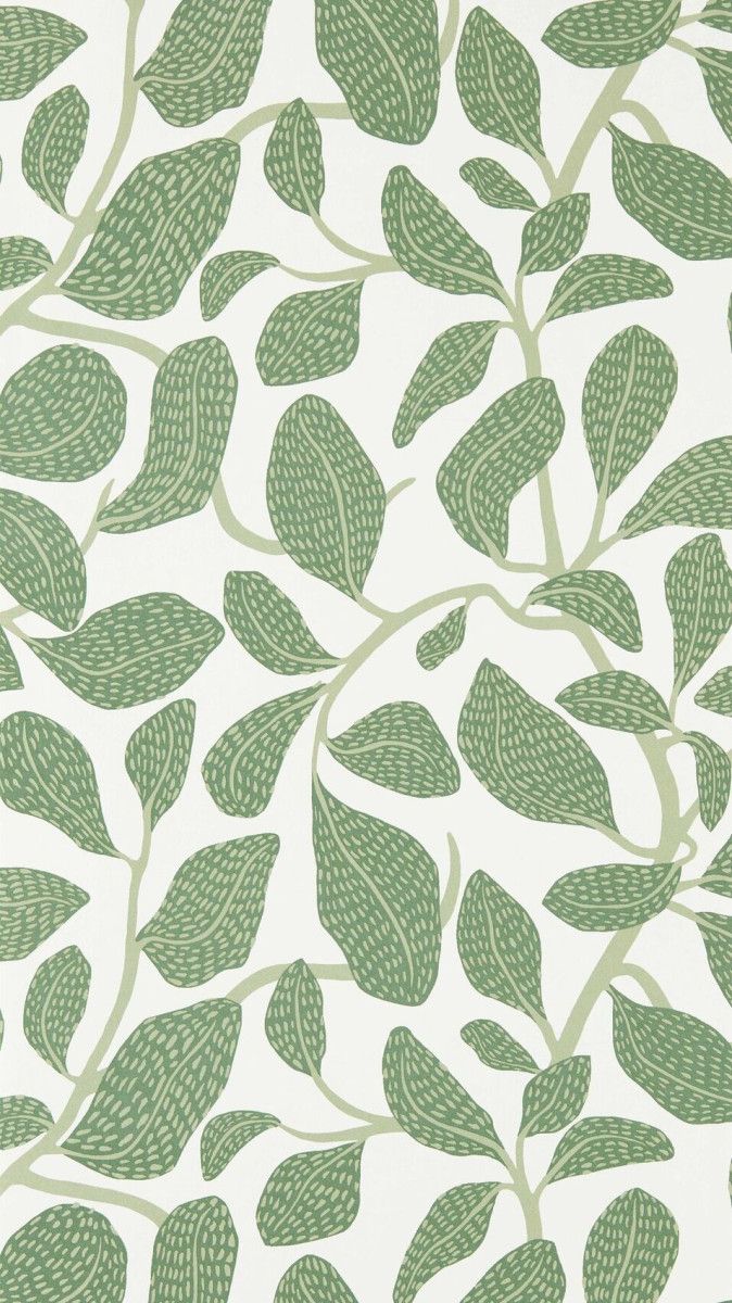 674x1200 Wallpaper SWEET BAY by Scion Leaf style