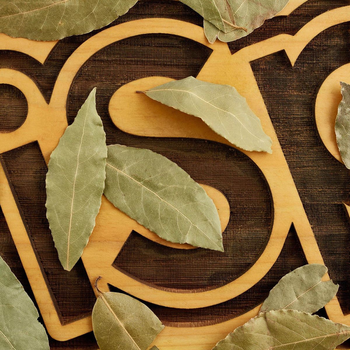 1200x1200 Bay Leaf: Unlock the Aromatic Secrets of Culinary Excellence