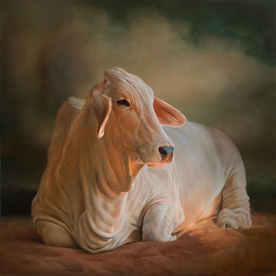 960x960 Gayu ideas. brahman cattle painting, brahman cattle art, brahman cow art