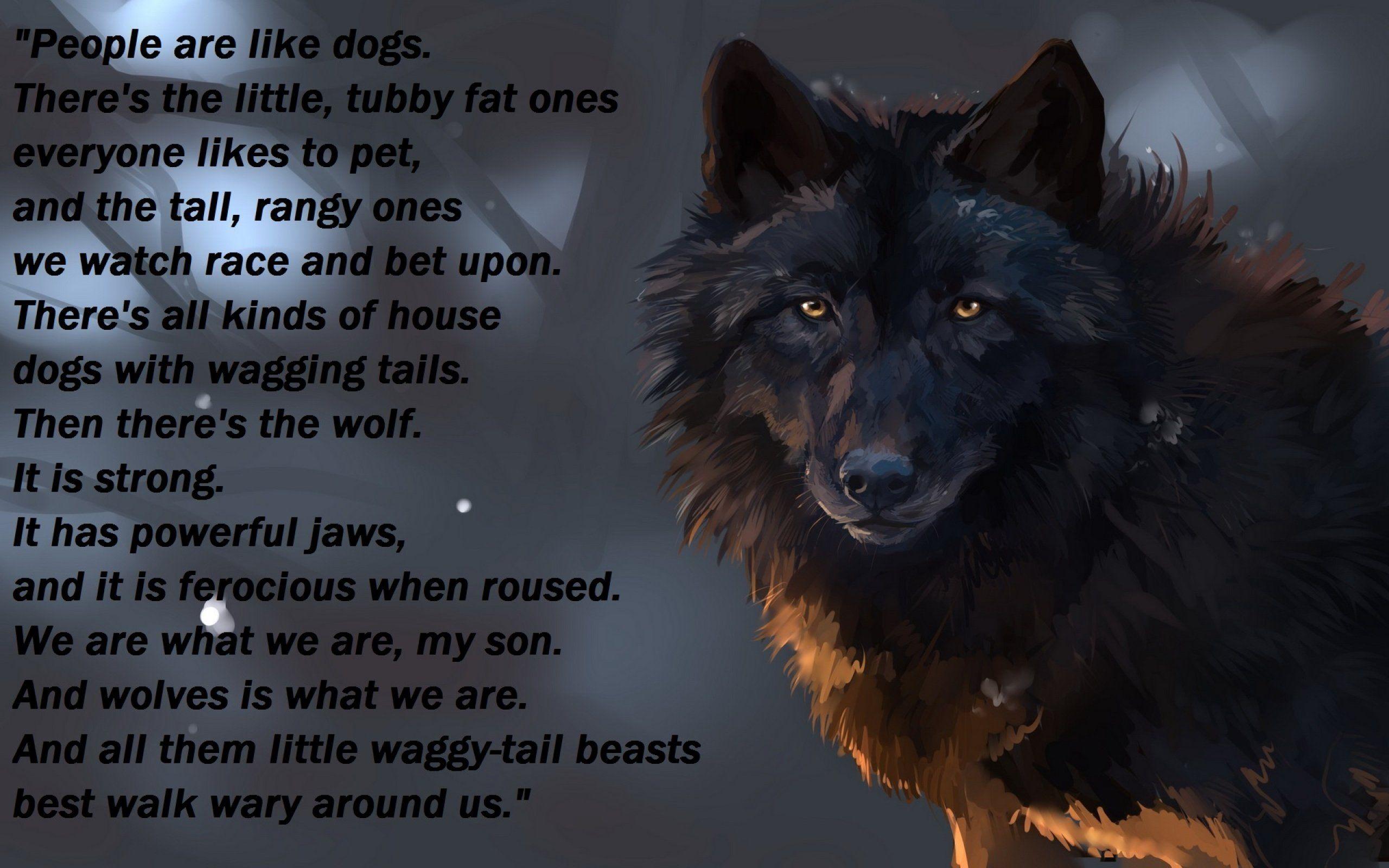 Wolf Quotes Wallpapers - Top Free Wolf Quotes Backgrounds - WallpaperAccess