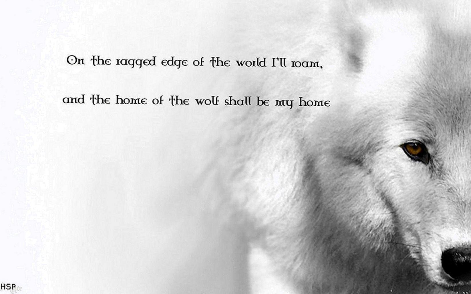 1647x1029 Wolf Image With Quotes Hình nền Wolf Wallpaper.Pro