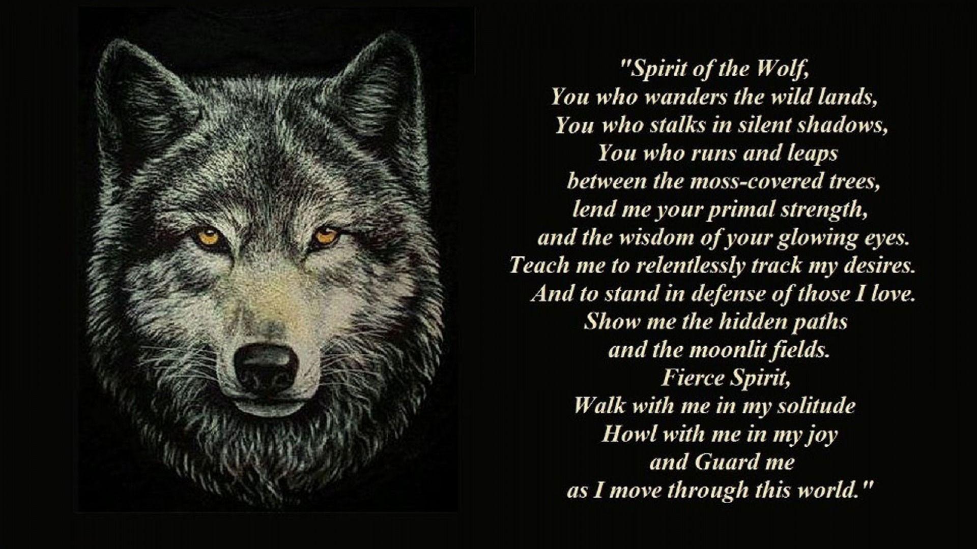 Wolf Quotes Wallpapers - Top Free Wolf Quotes Backgrounds - Wallpaperaccess