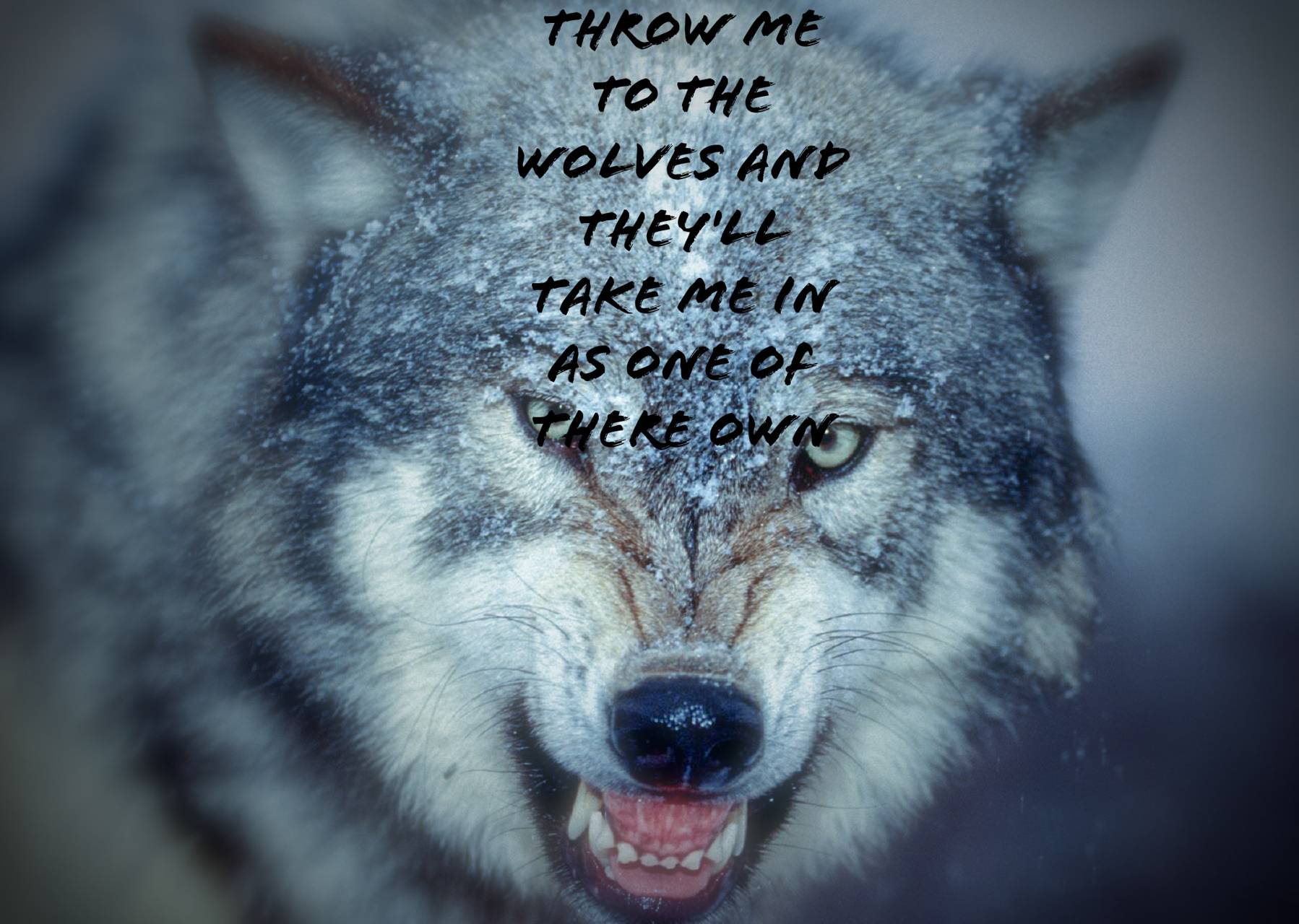 Wolf Strength Image