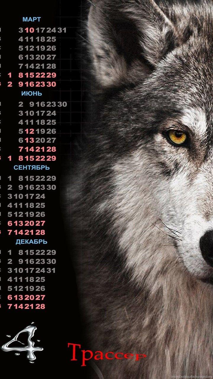 720x1280 Lịch 2014 Lone Wolf Hình nền Nền máy tính